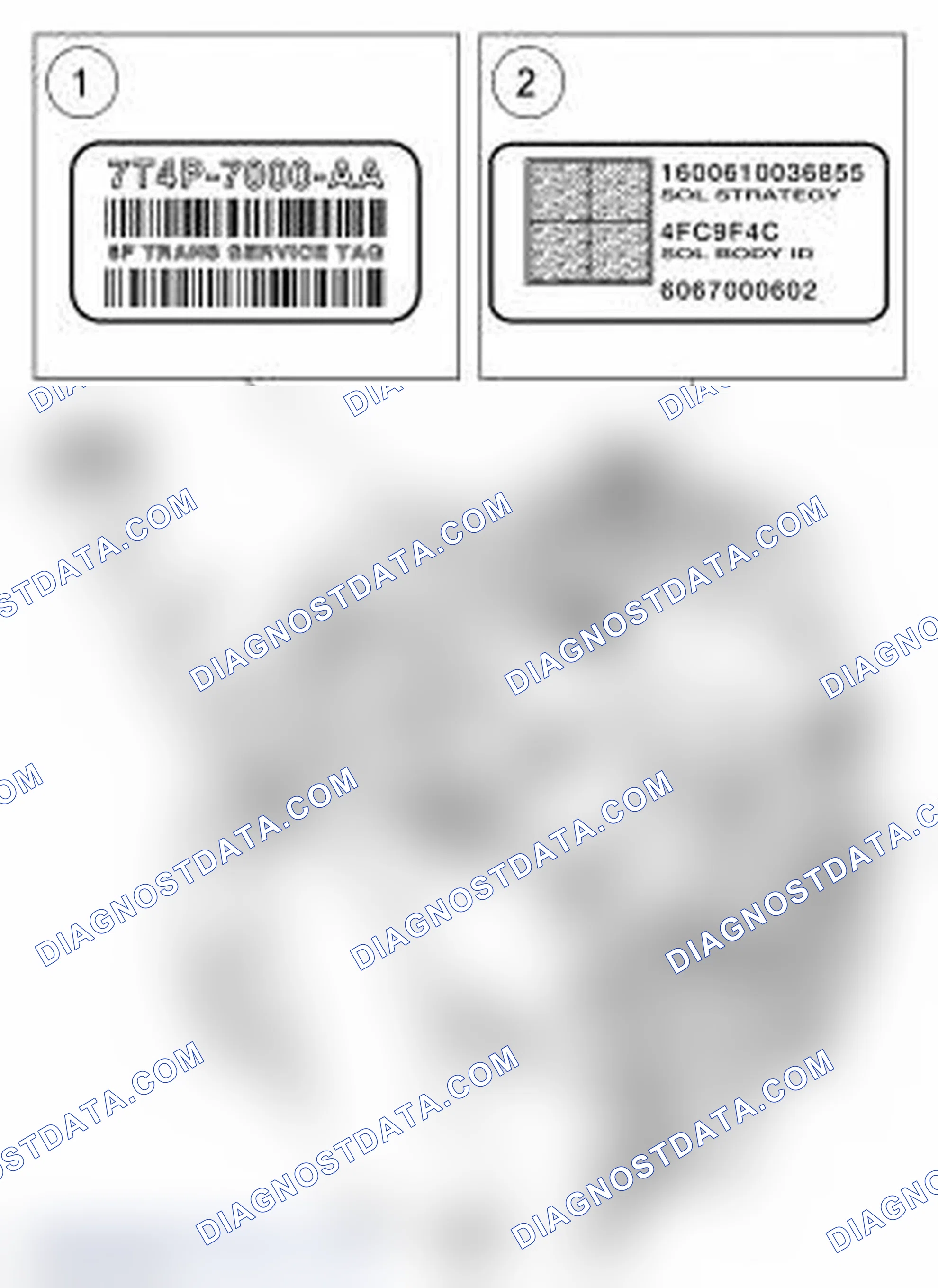 Scheme 26: Identification Tags