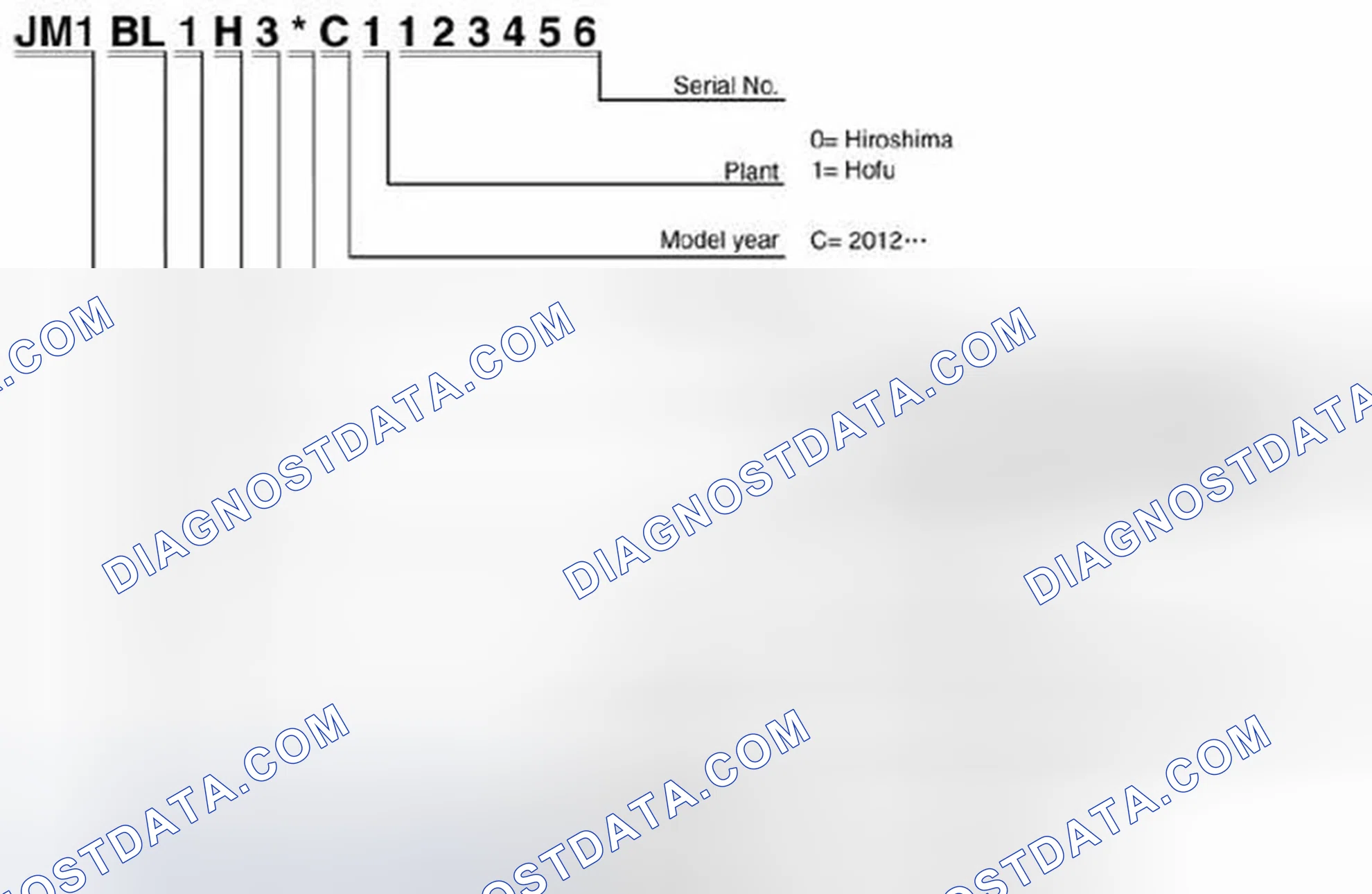 Scheme 1: Vehicle Identification Number Breakdown