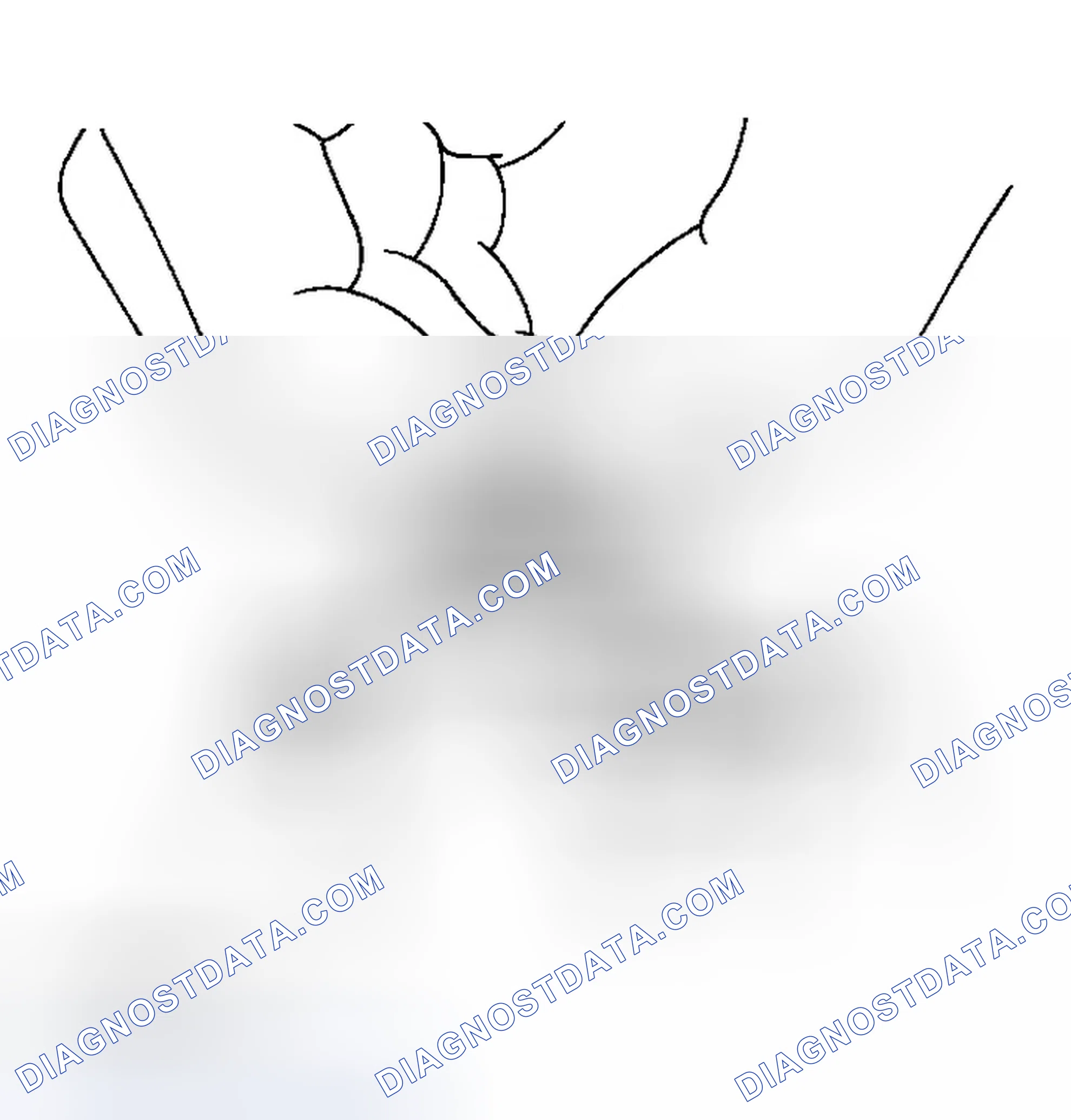 Scheme 7: CHECKING RADIATOR CAP