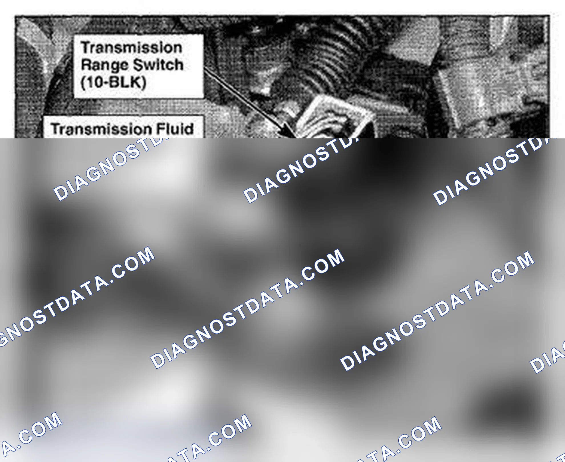 Scheme 442: Transmission Housing Components Location (Photo 37)