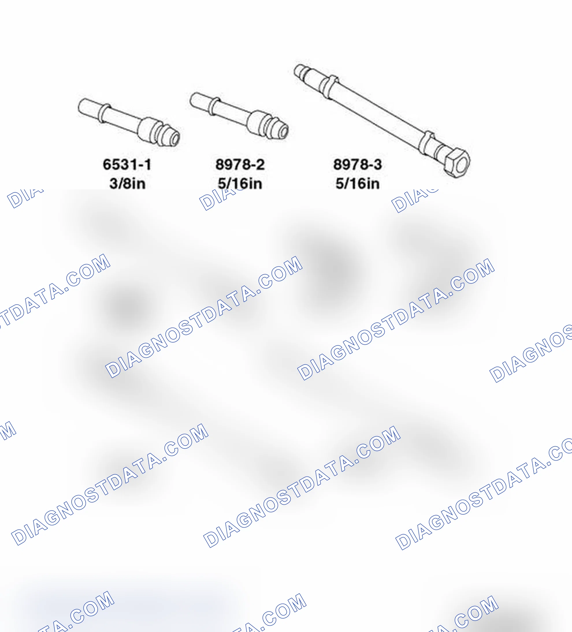 Scheme 19: DIAGNOSTIC TEST