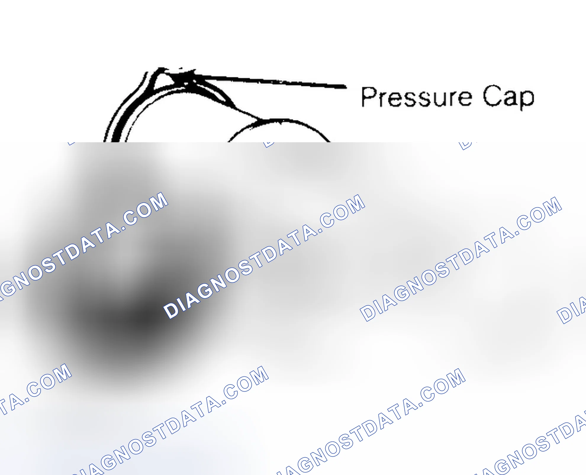 Scheme 2: Pressure Testing Radiator Cap