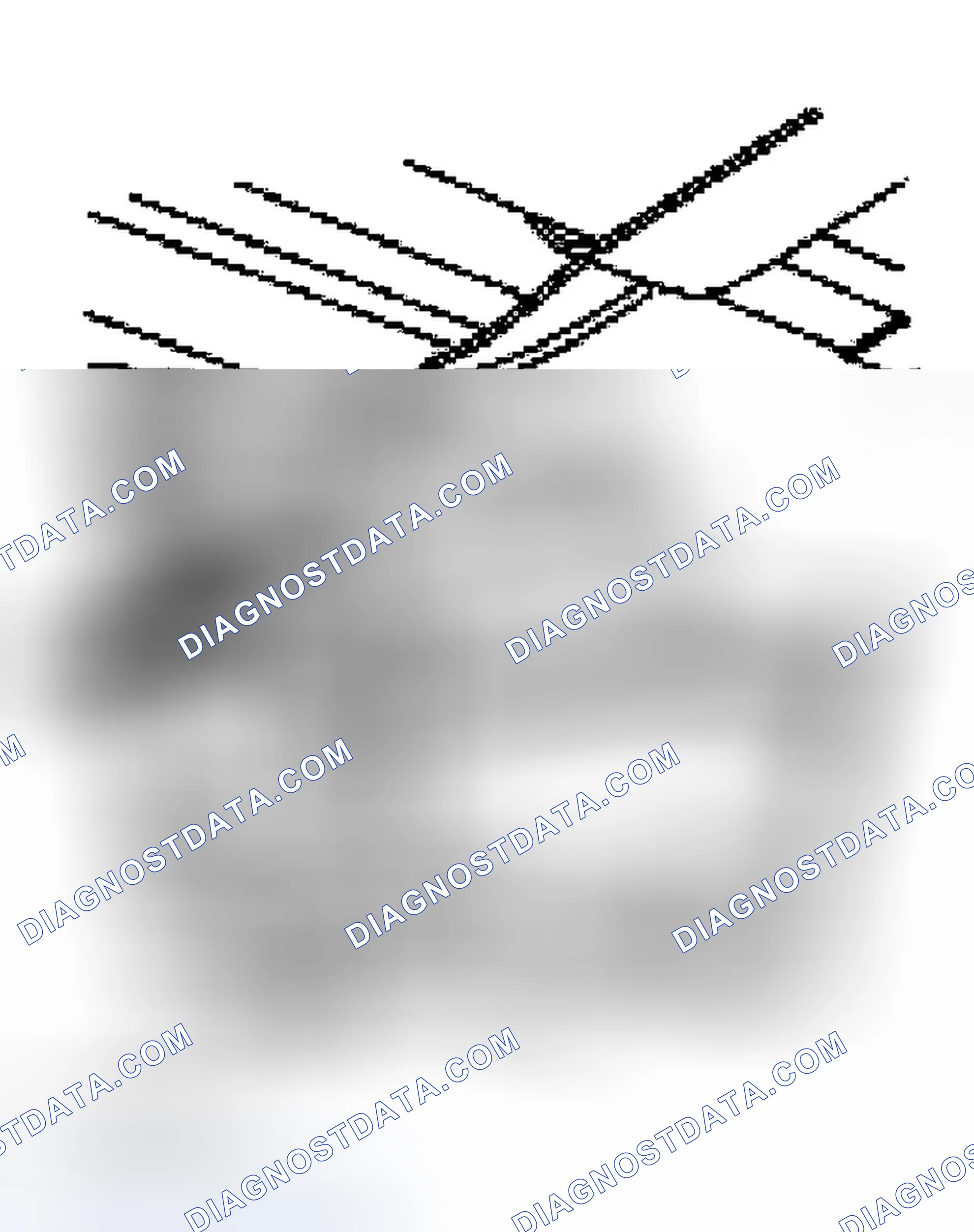 Scheme 350