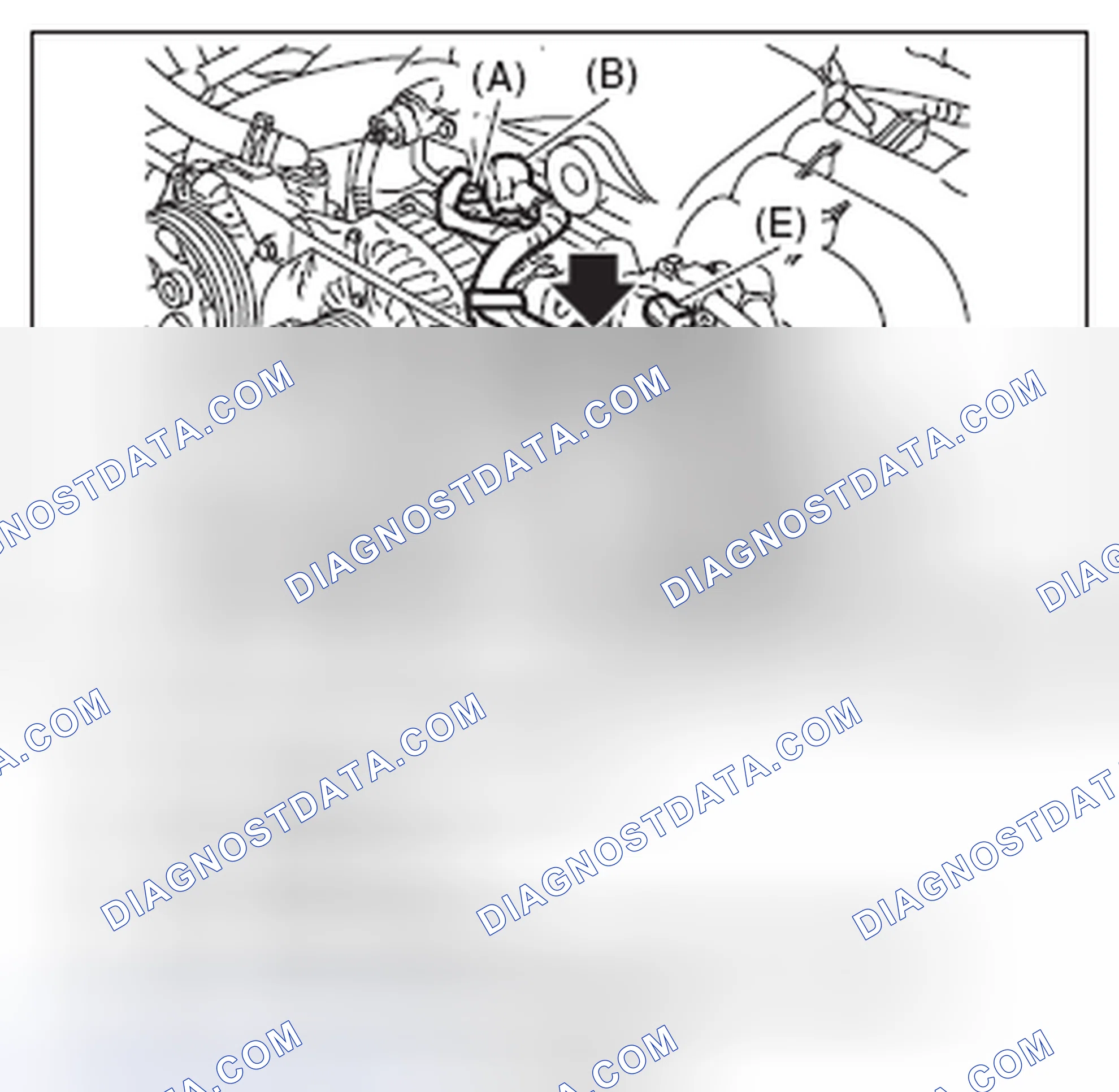 Scheme 487