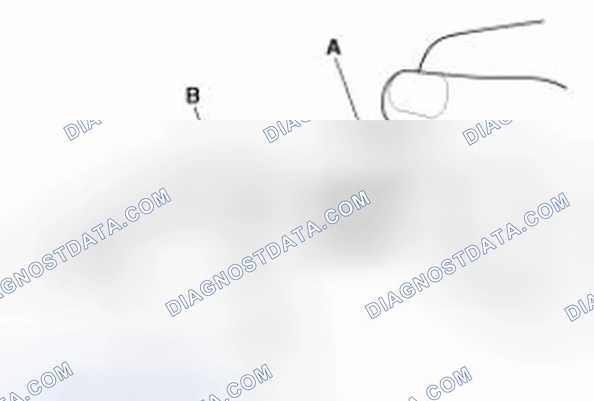 Scheme 10: Inspection