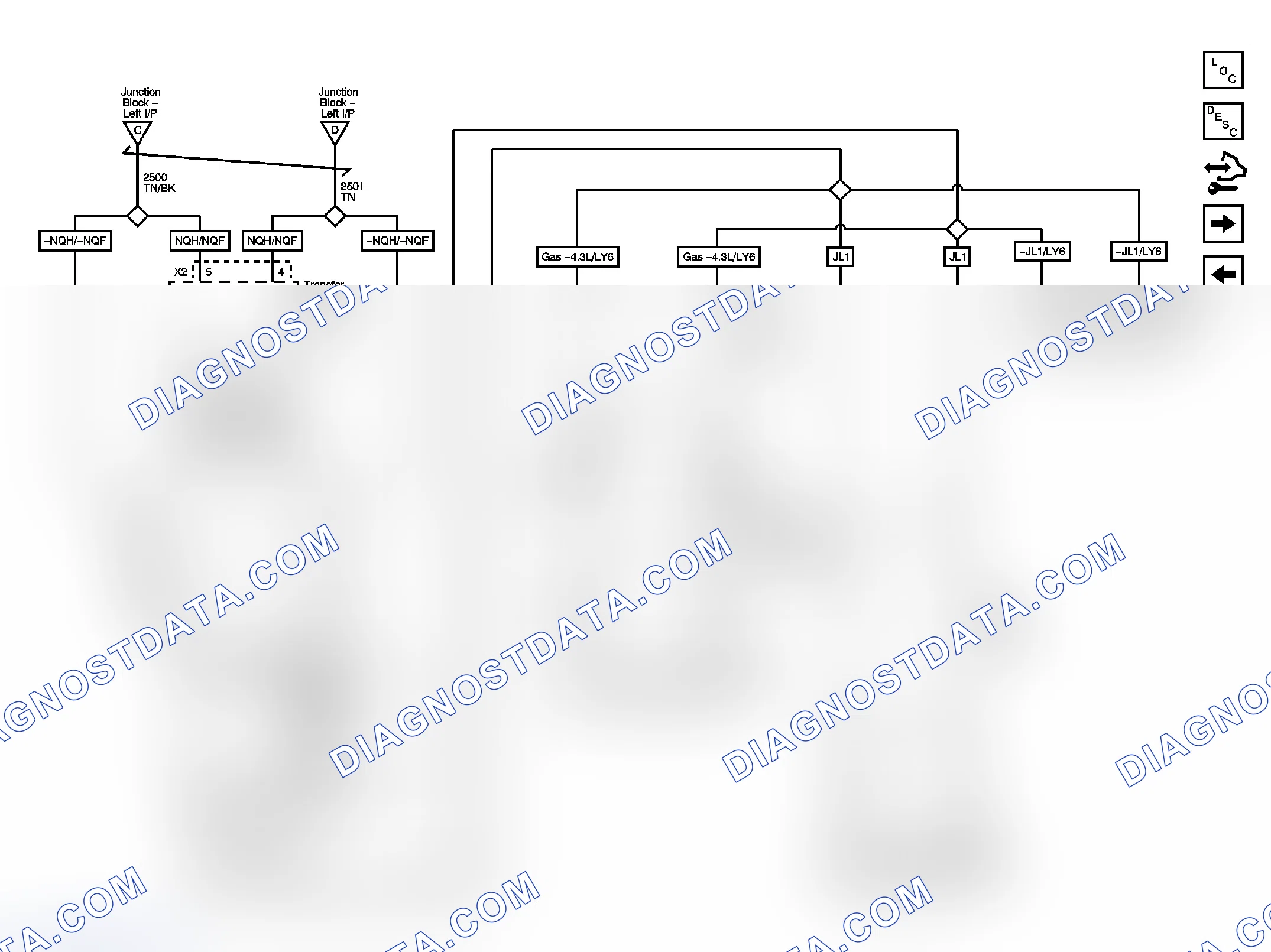 Scheme 5