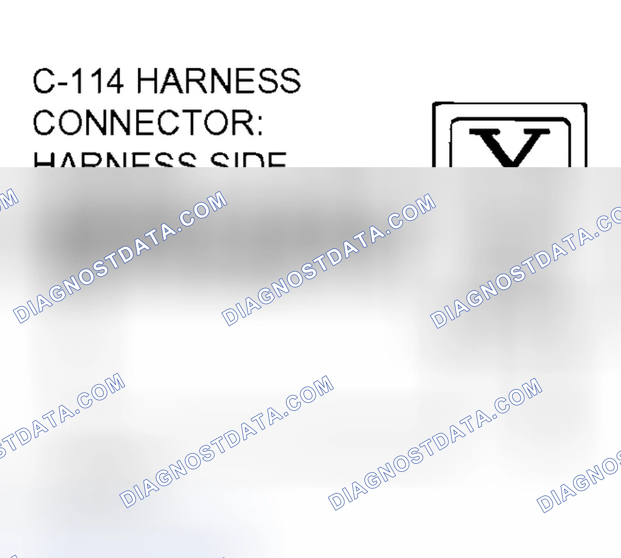 Scheme 491