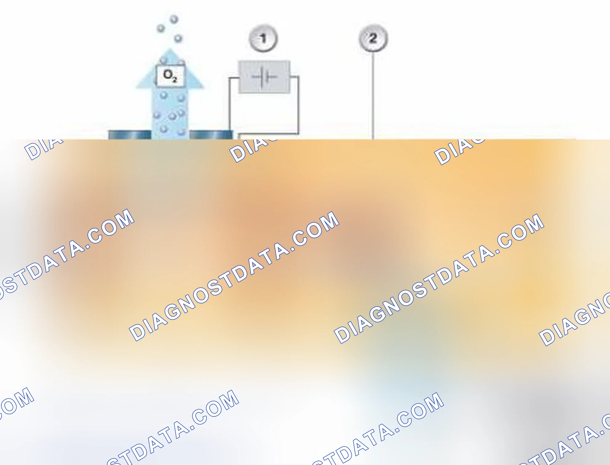 Scheme 30