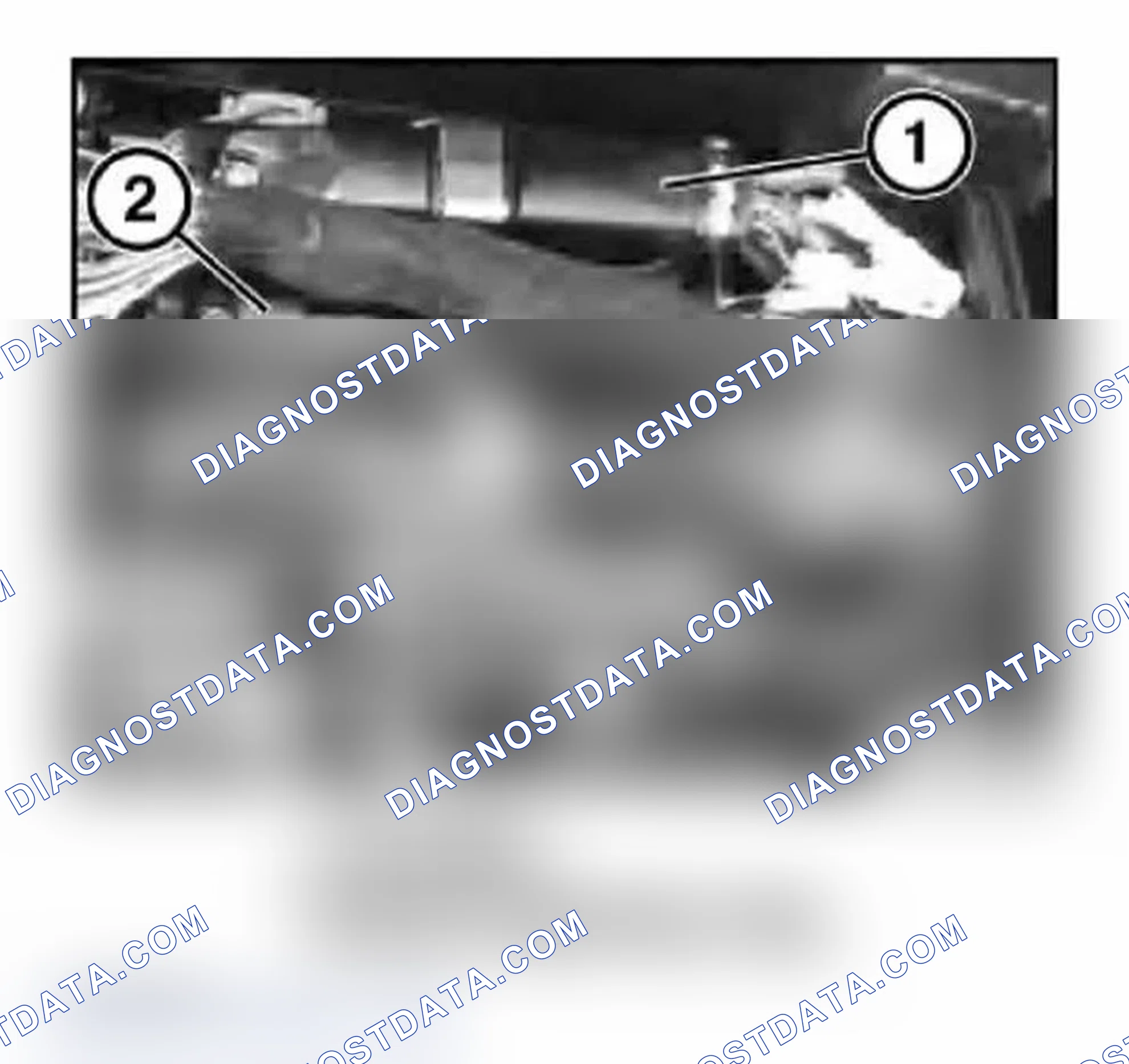 Scheme 5