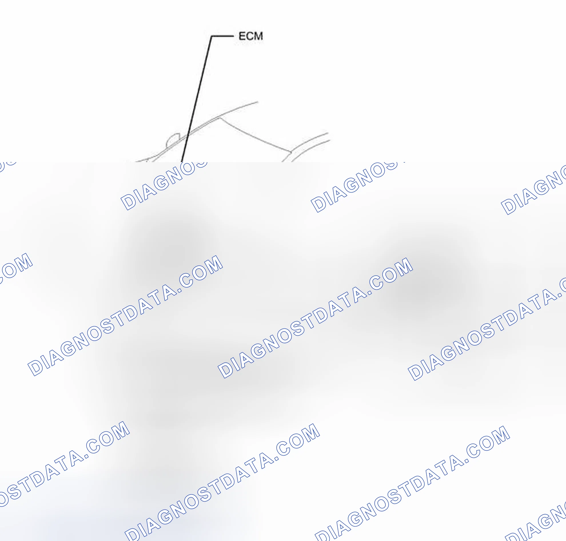 Scheme 14: ILLUSTRATION