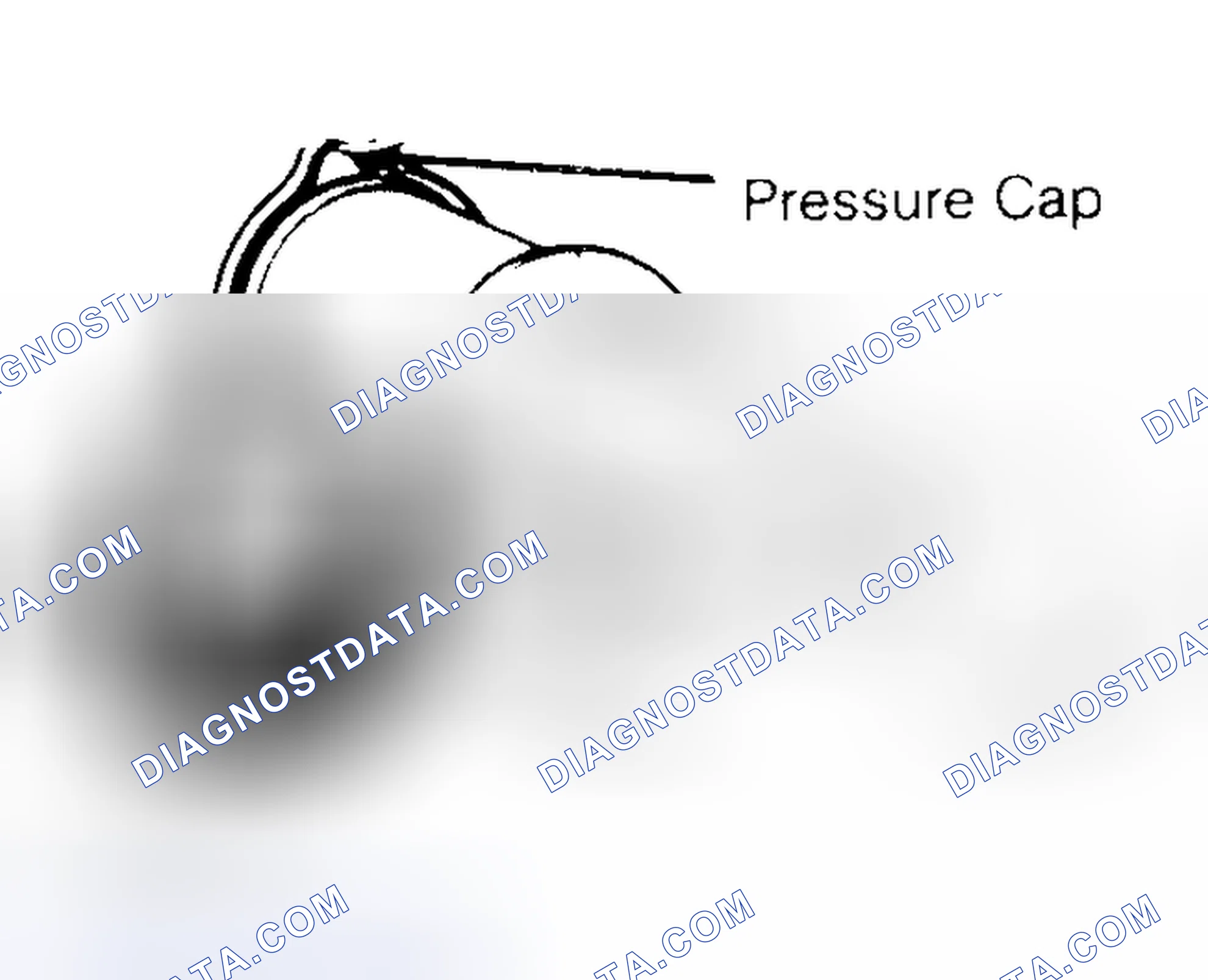 Scheme 2: Pressure Testing Radiator Cap