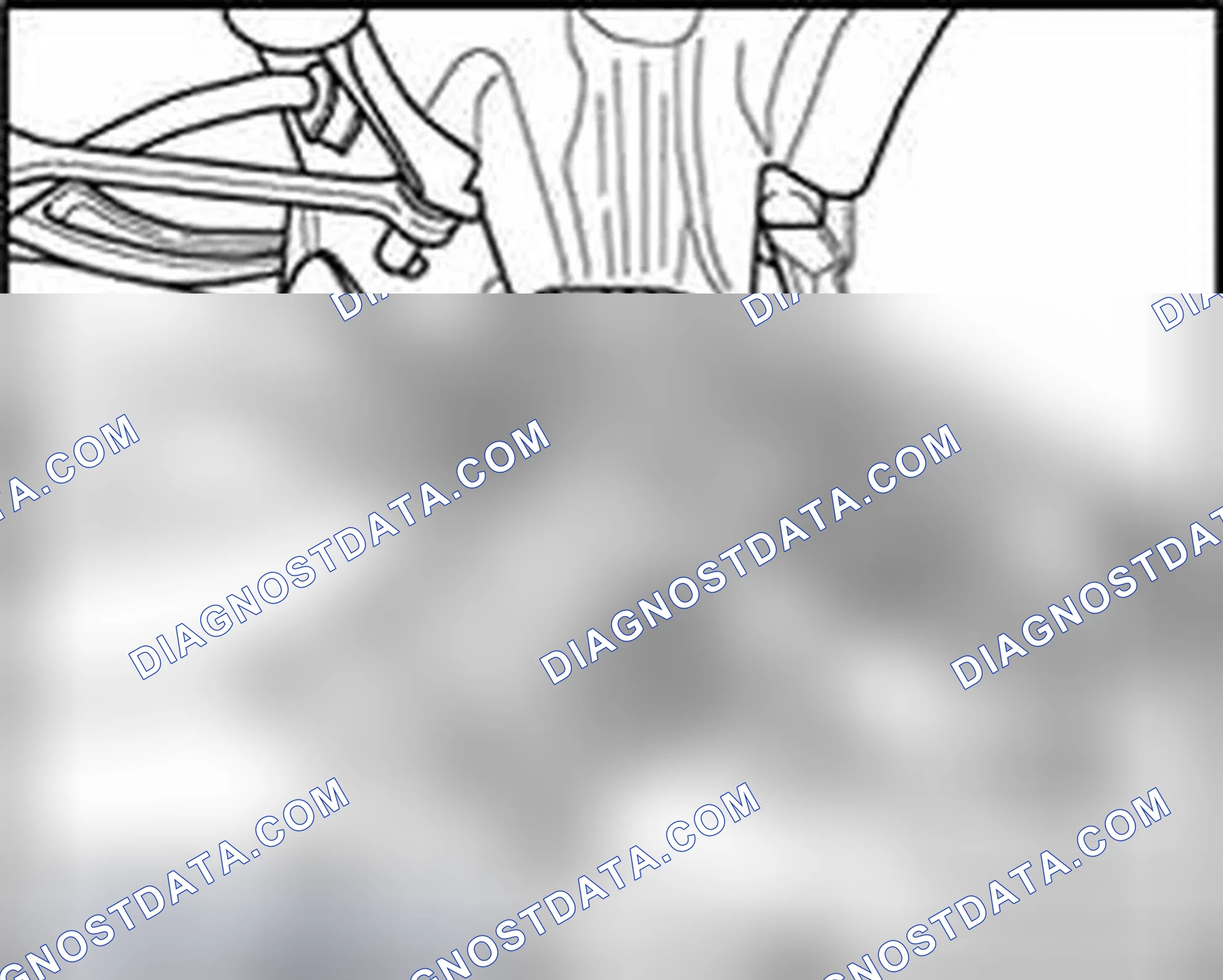 Scheme 1241