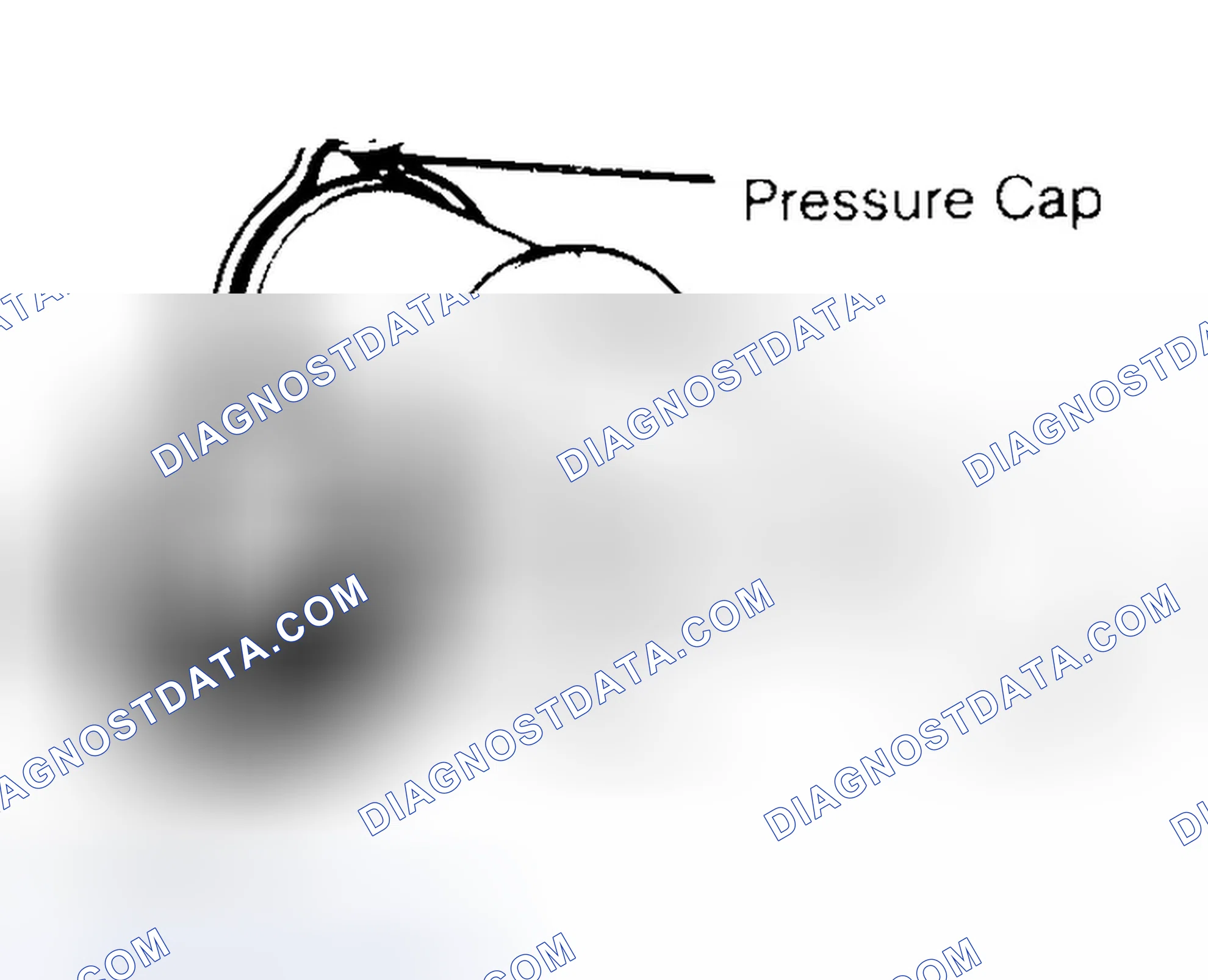 Scheme 2: Pressure Testing Radiator Cap