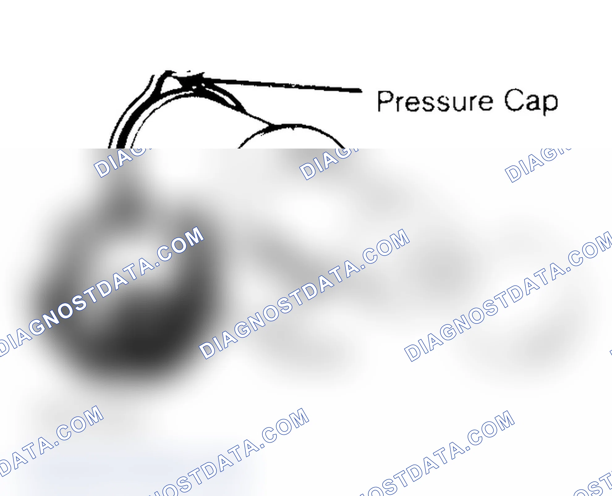 Scheme 2: Pressure Testing Radiator Cap
