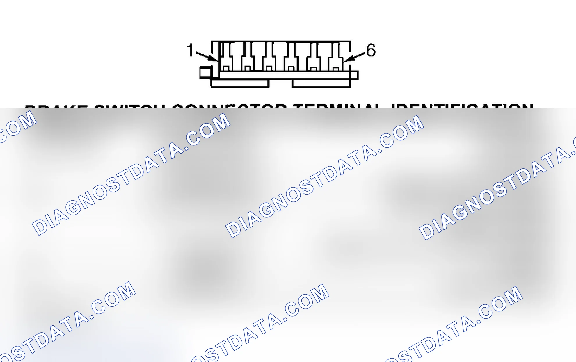 Scheme 6: Brake Switch Connector End View