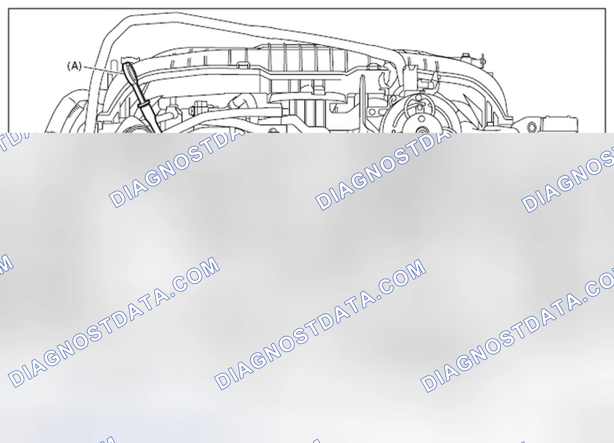 Scheme 538