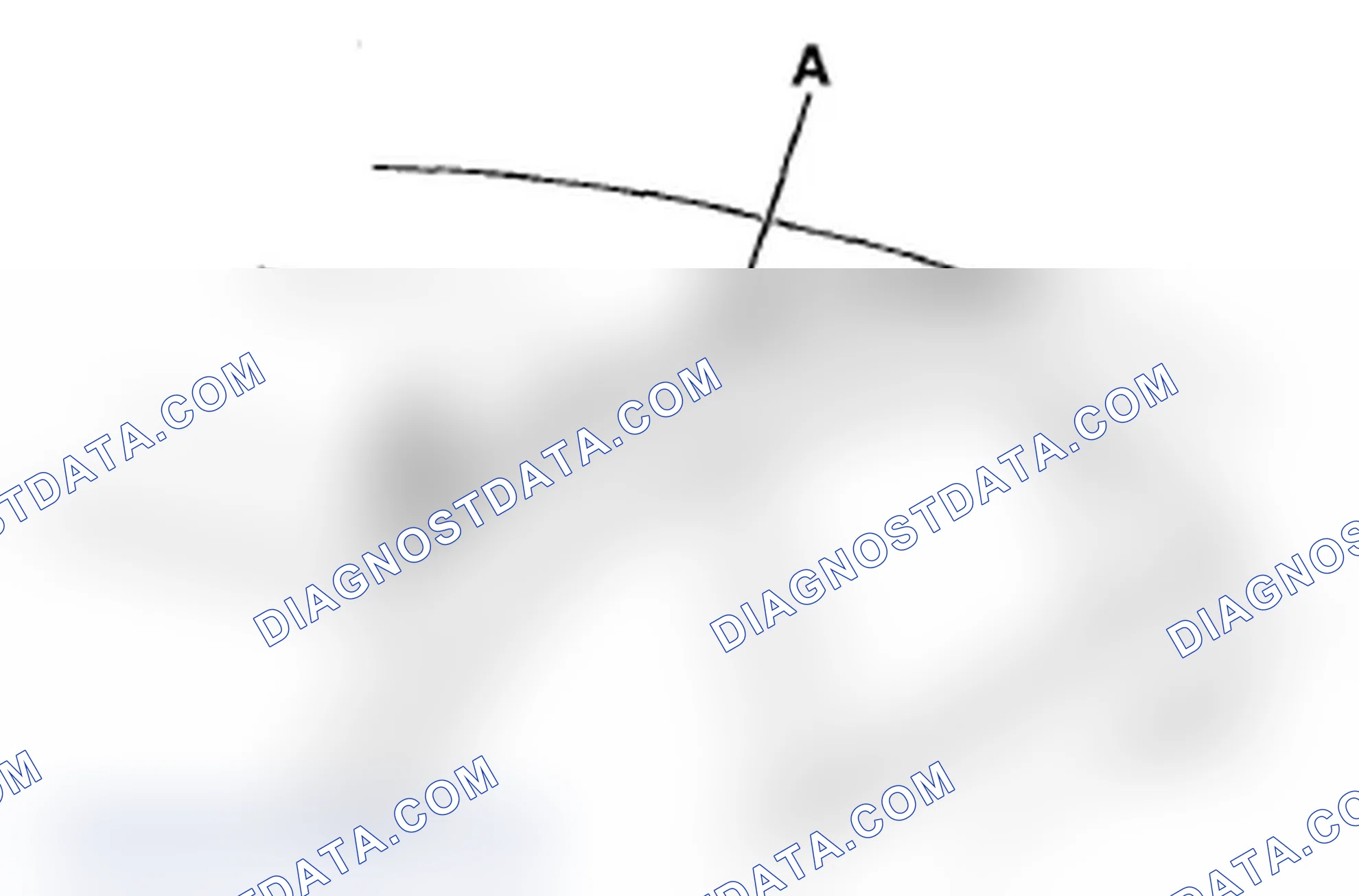 Scheme 135