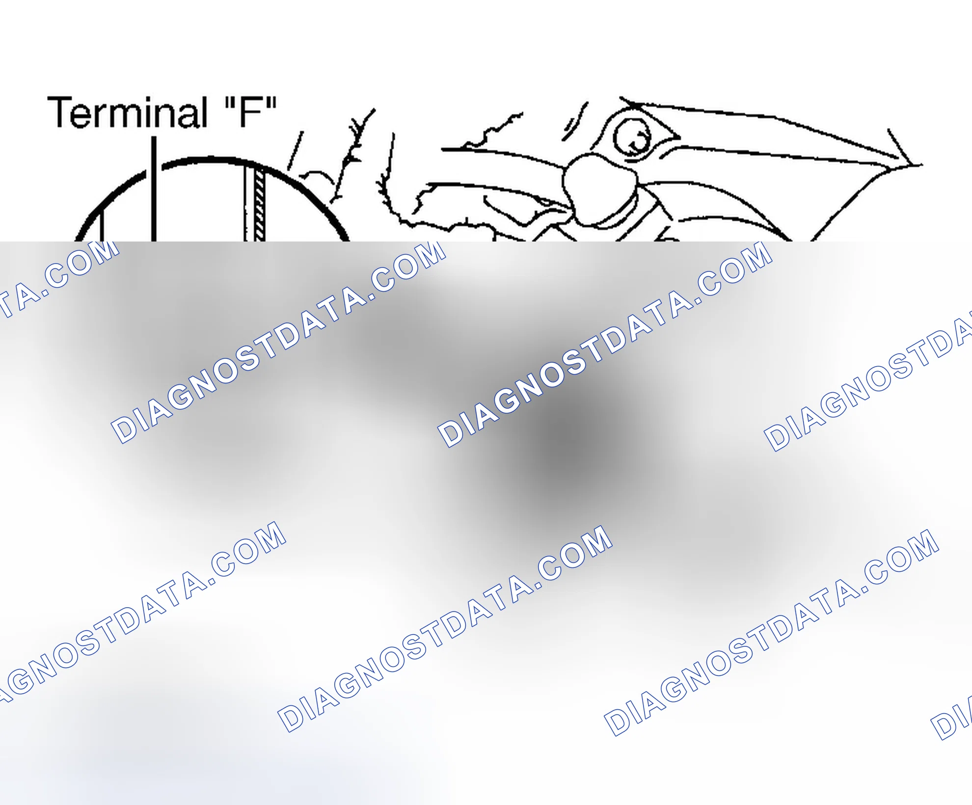 Scheme 18
