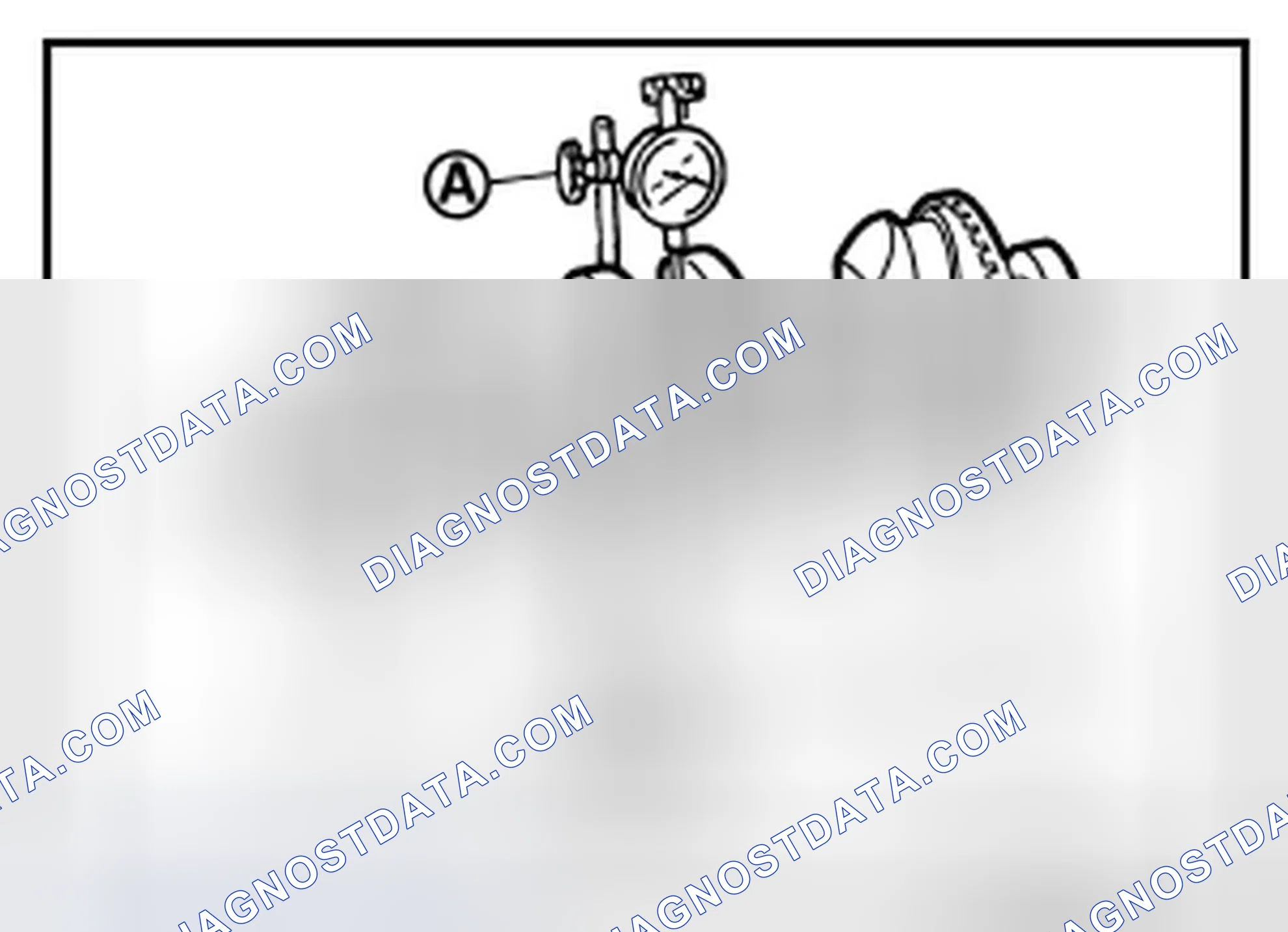 Scheme 255: CRANKSHAFT RUNOUT