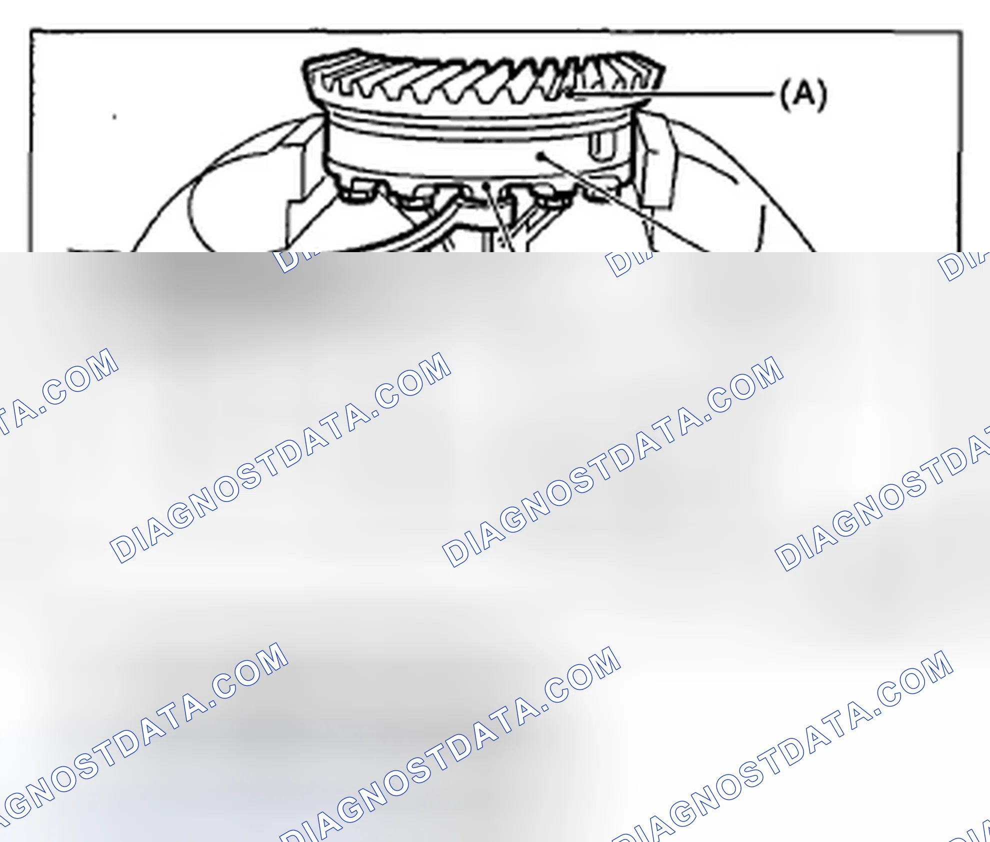 Scheme 207