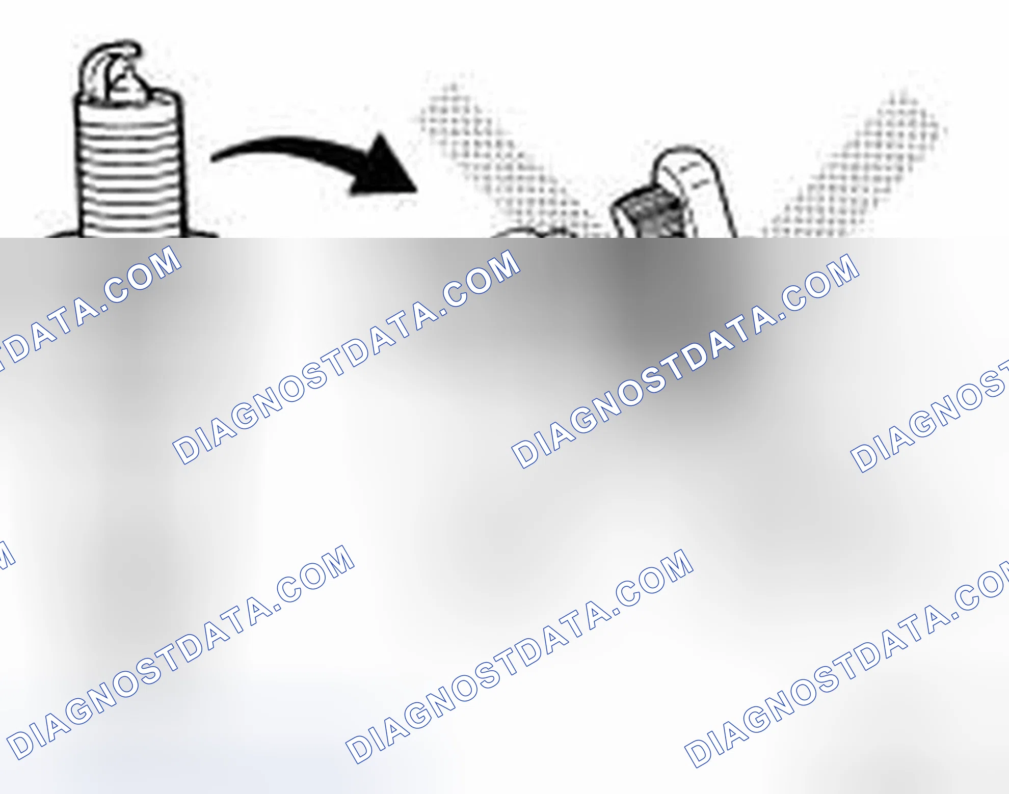 Scheme 1: INSPECTION AFTER REMOVAL