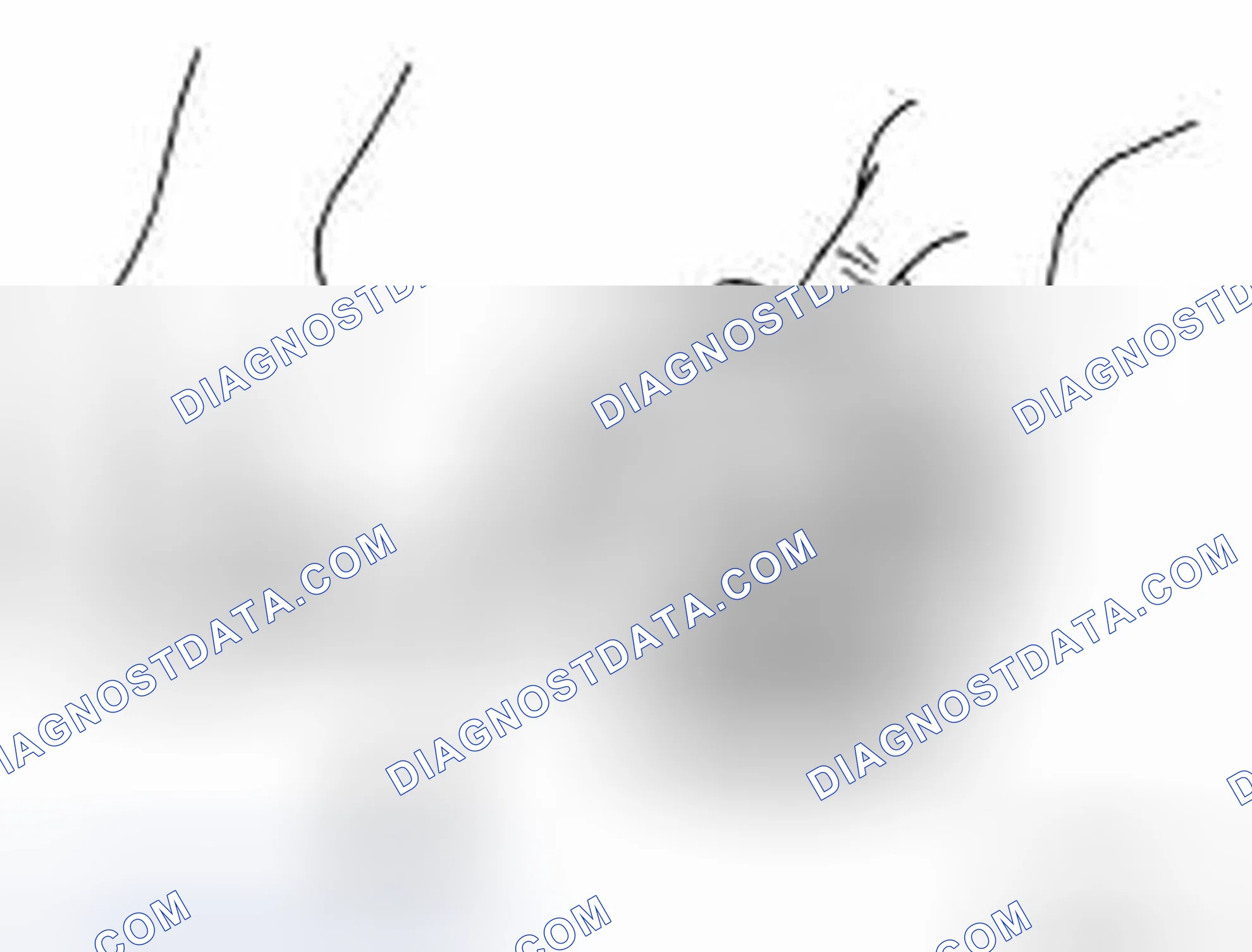 Scheme 206: Piston Skirt Diameter