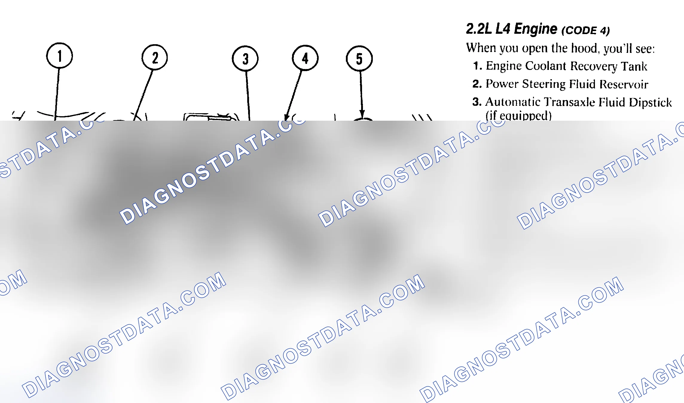 Scheme 7