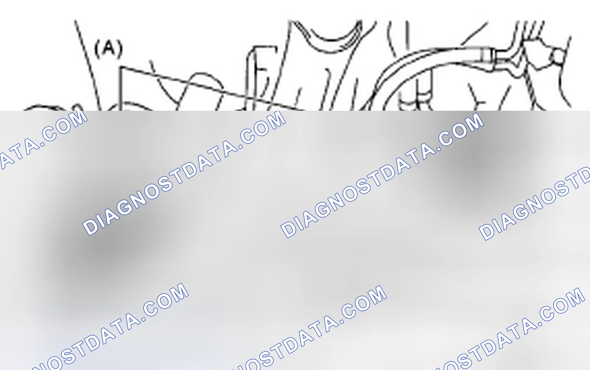 Scheme 66: FRONT AND REAR AXLE BOOTS