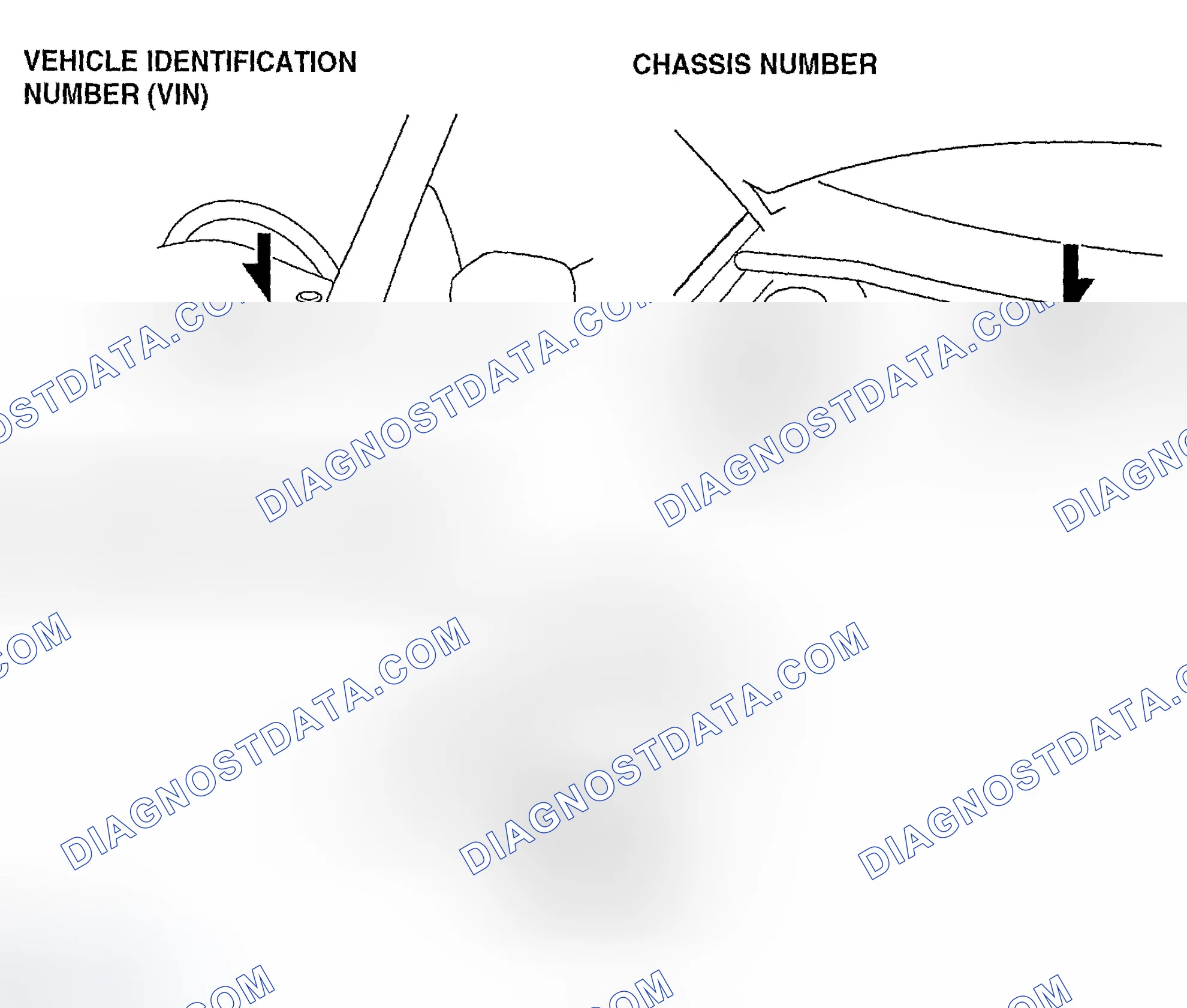 Scheme 54: VEHICLE IDENTIFICATION NUMBER (VIN), CHASSIS NUMBER, ENGINE IDENTIFICATION NUMBER