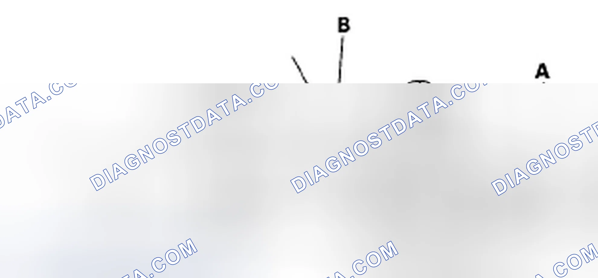 Scheme 2: Radiator Cap Test