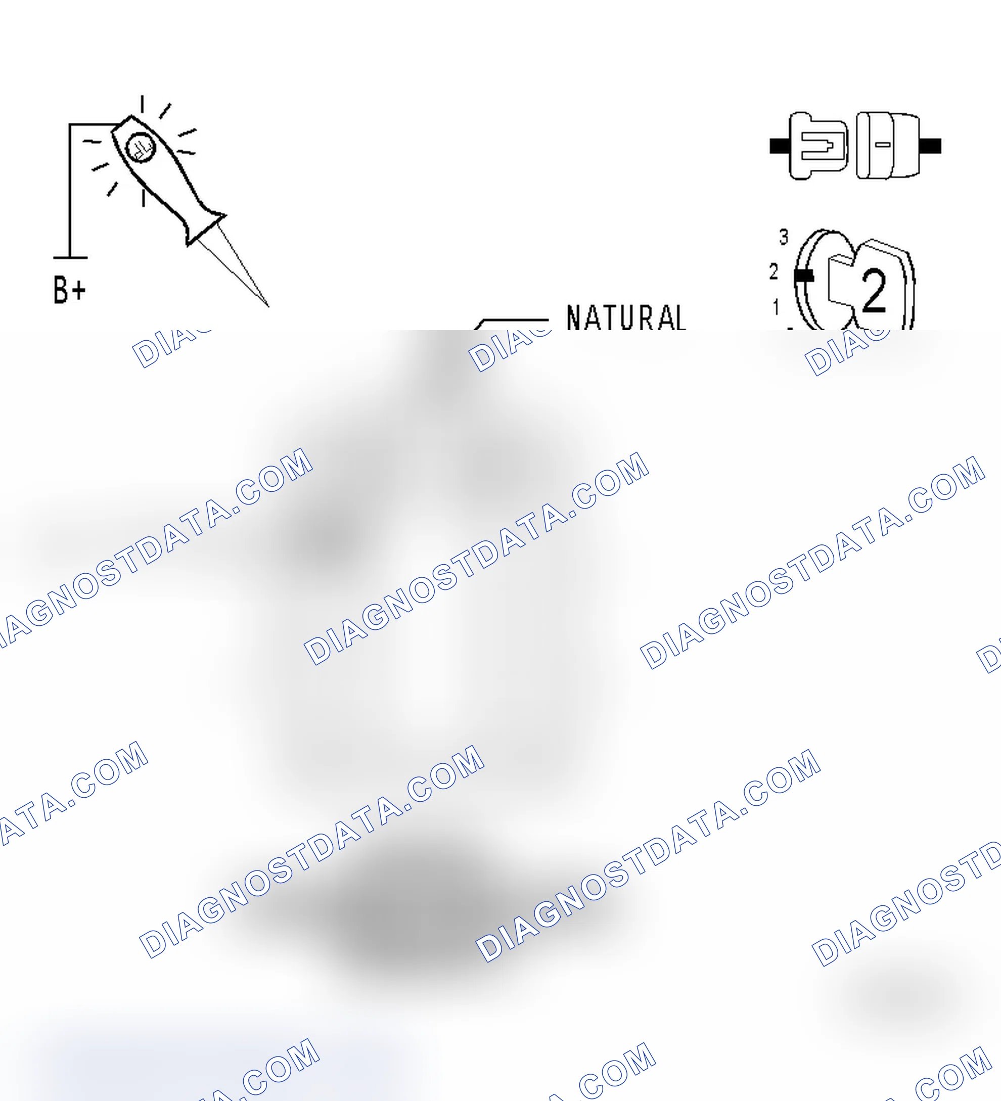 Scheme 25: Diagnostic Test