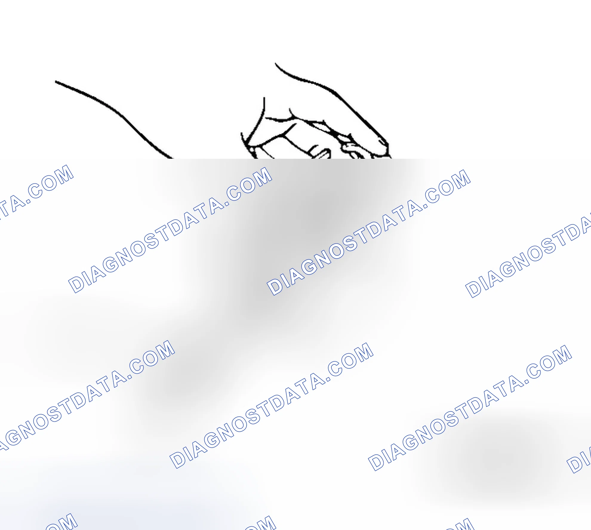 Scheme 453: PISTON RING