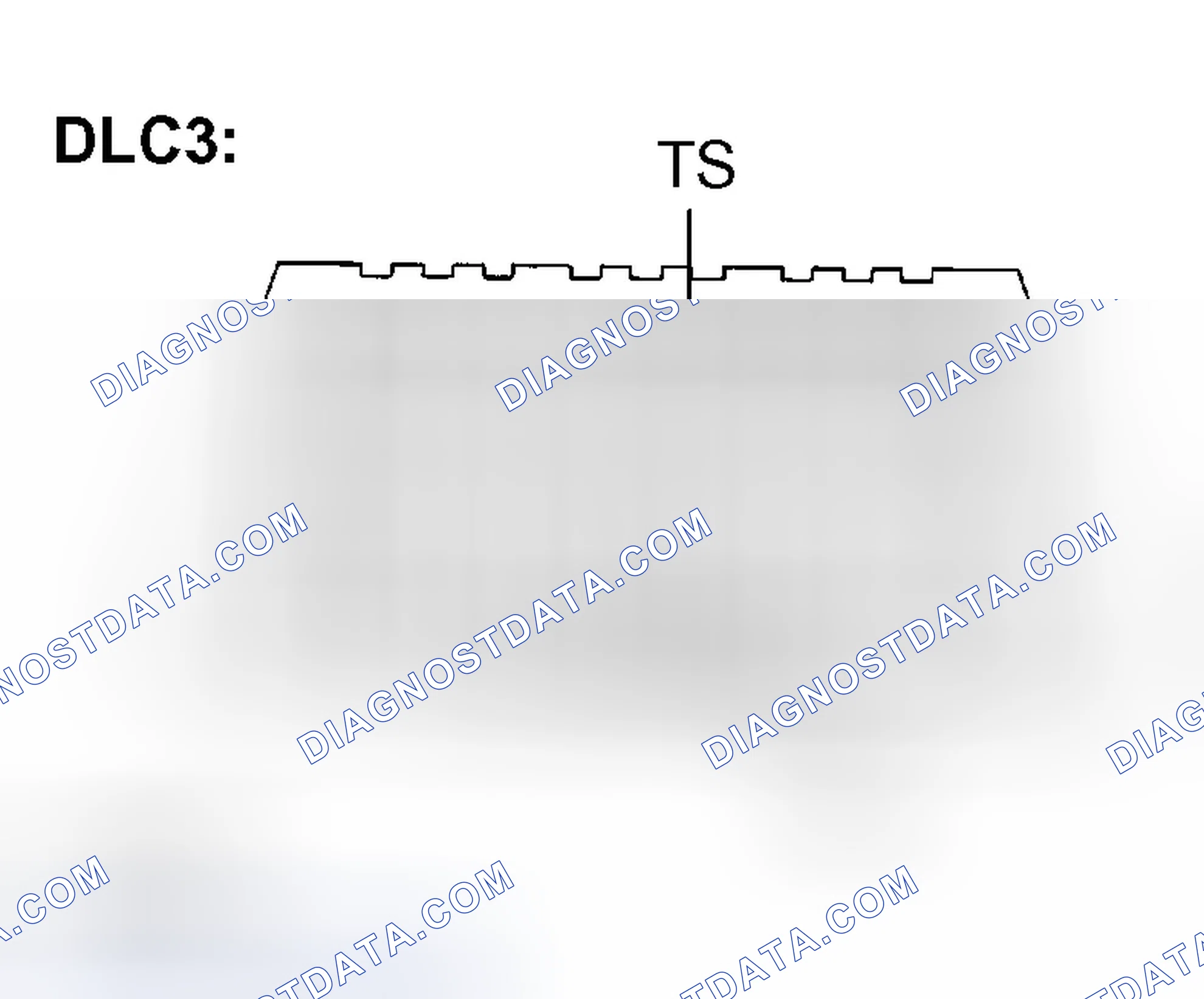 Scheme 5