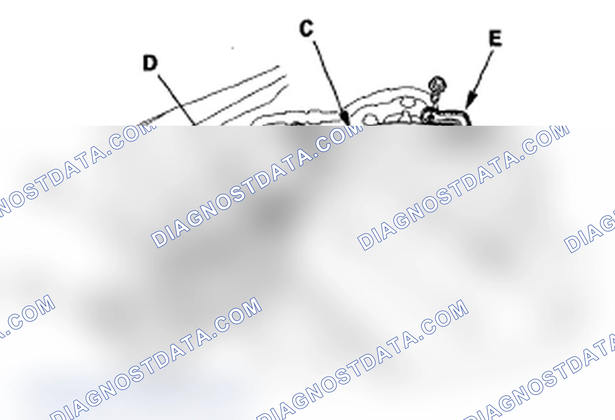 Scheme 24