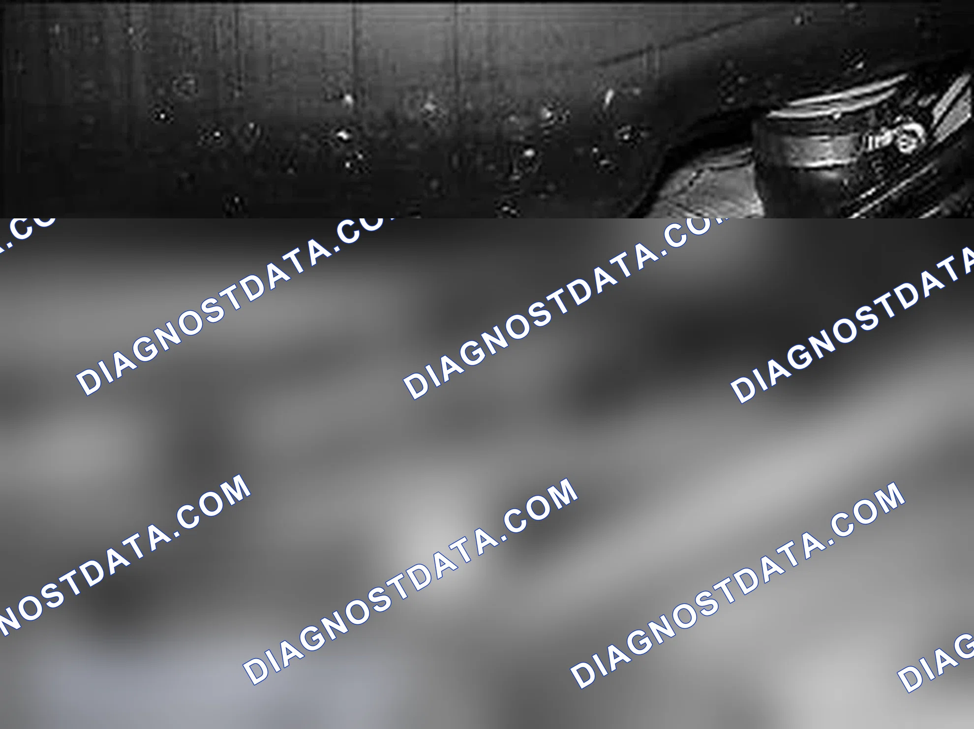 Scheme 60: Release Banjo Bolts (1)