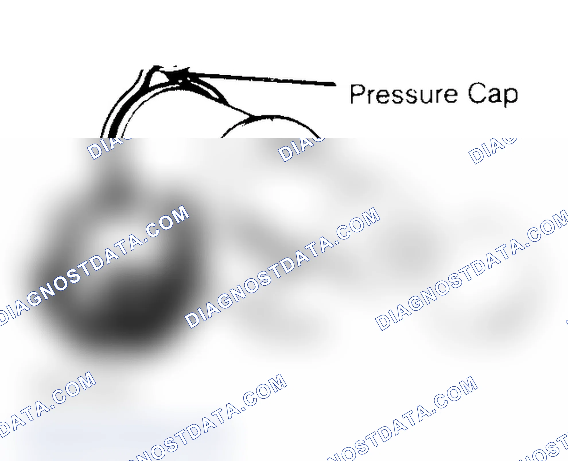 Scheme 2: Pressure Testing Radiator Cap