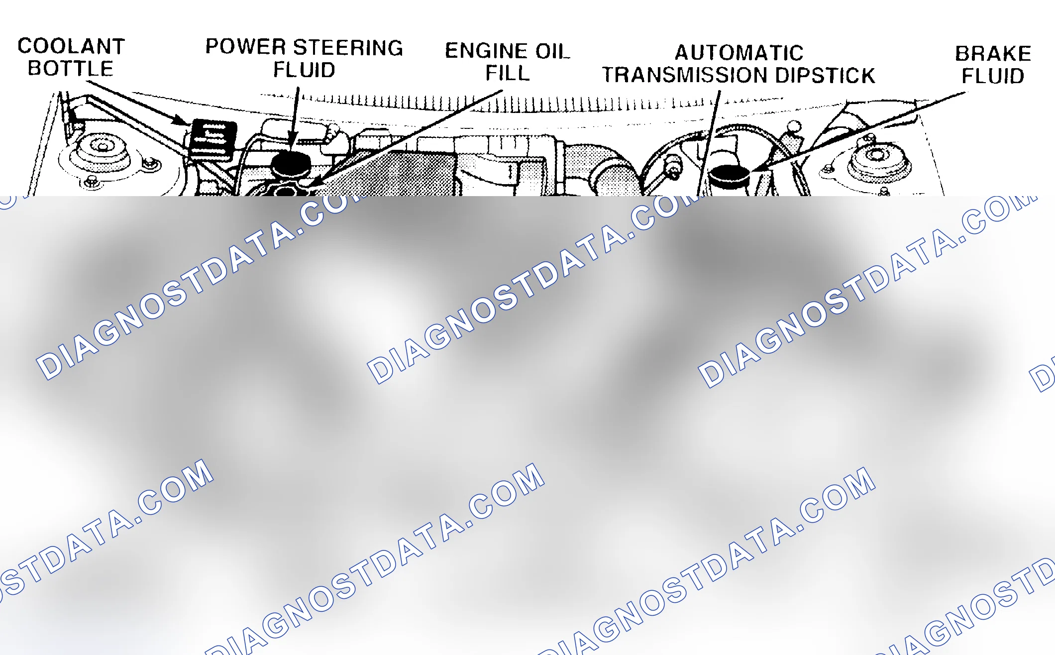 Scheme 4