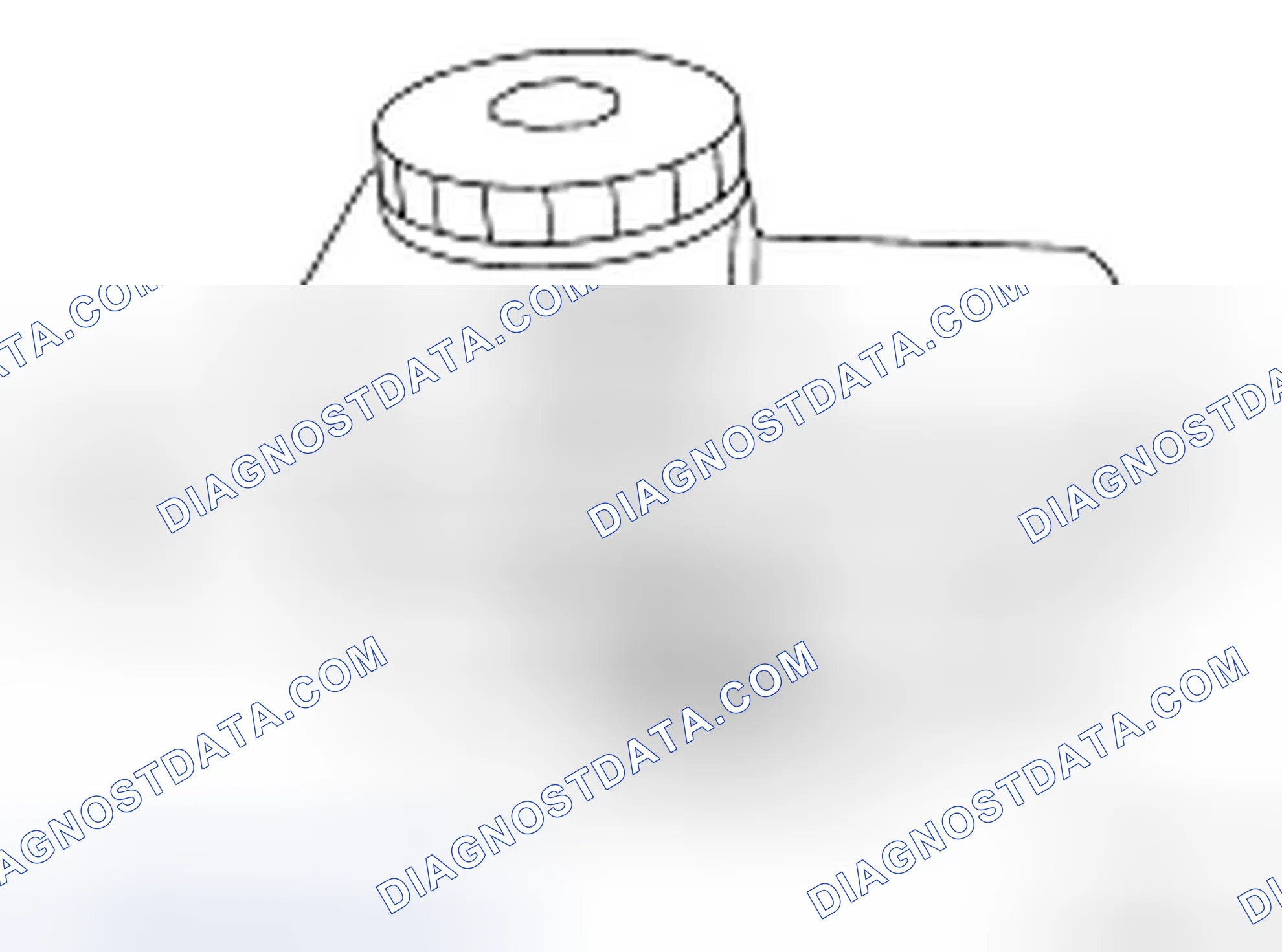 Scheme 5: Checking Brake Fluid Level and Leaks