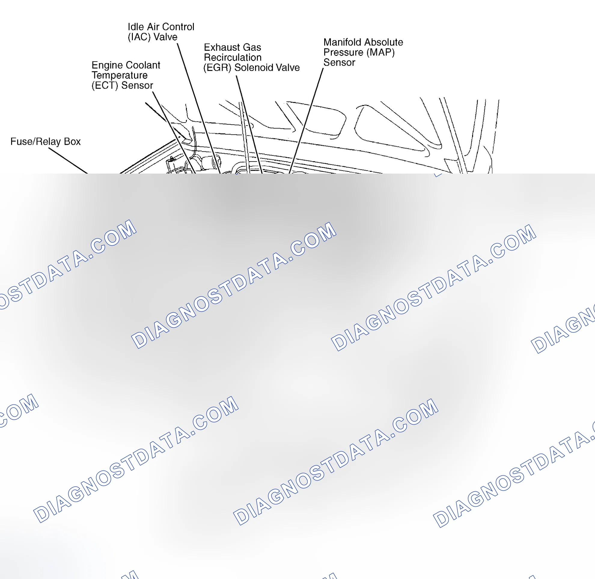 Scheme 4: Engine Compartment (3.2L)