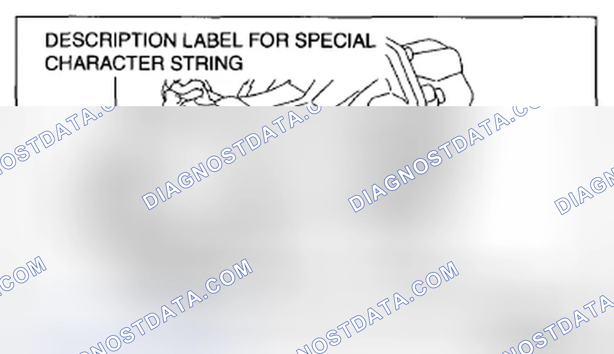 Scheme 24: Identifying Laser Mark Special Character String And Description Label For Special Character String