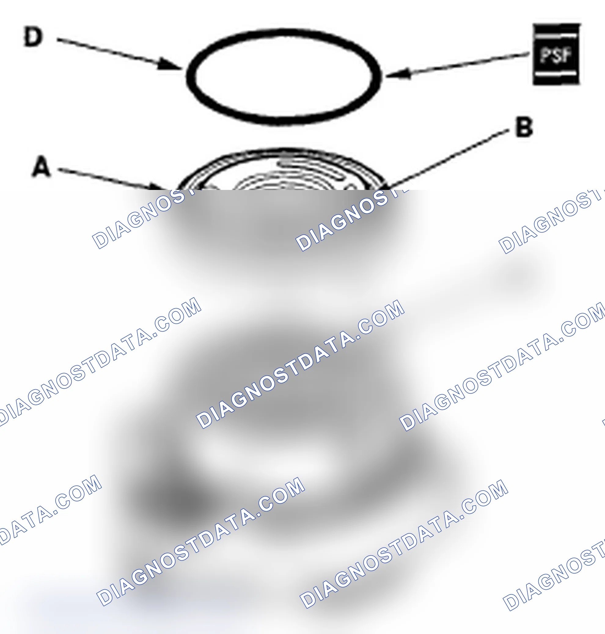 Scheme 29