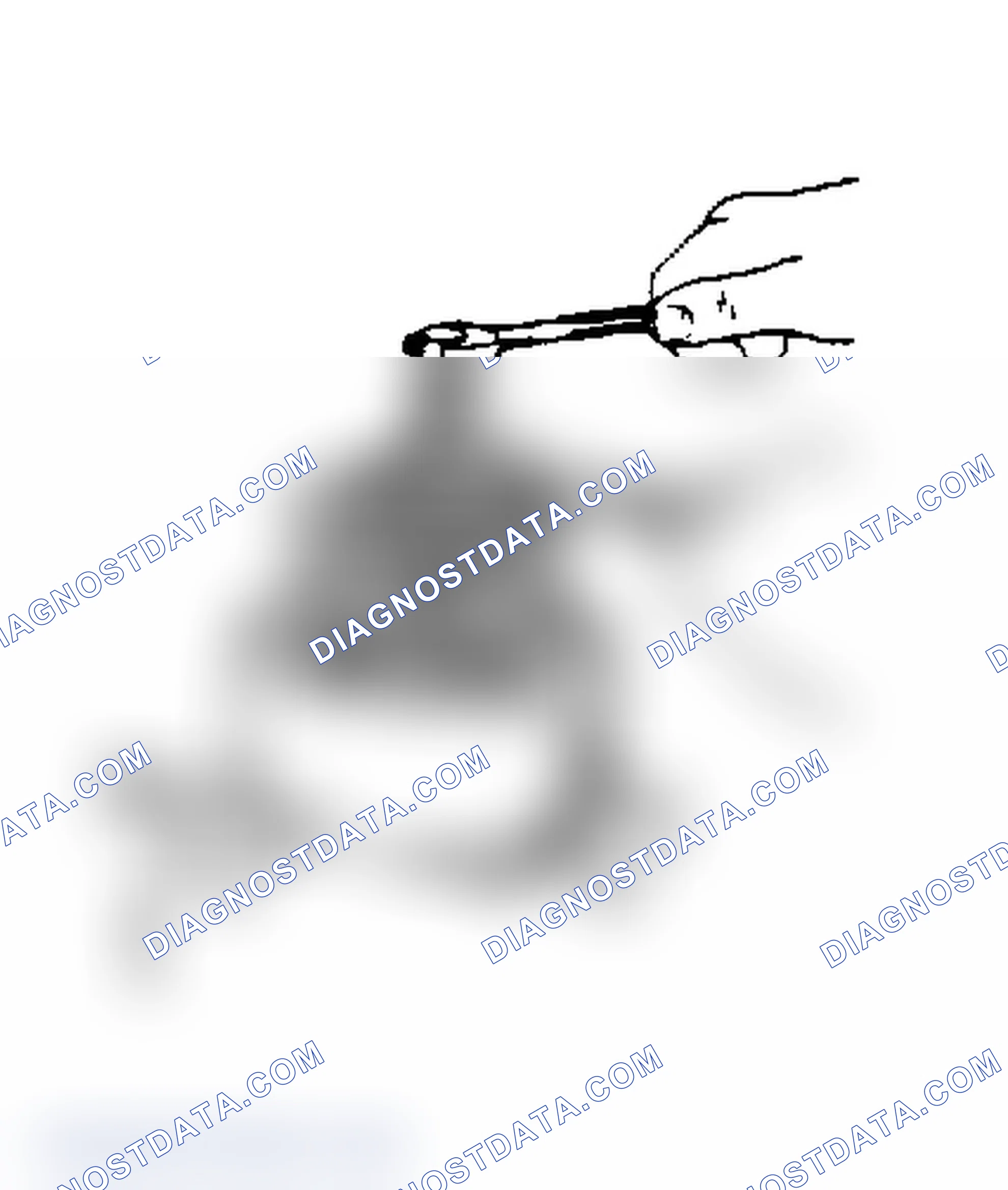 Scheme 24: Installing Clutch Plate (Con't)