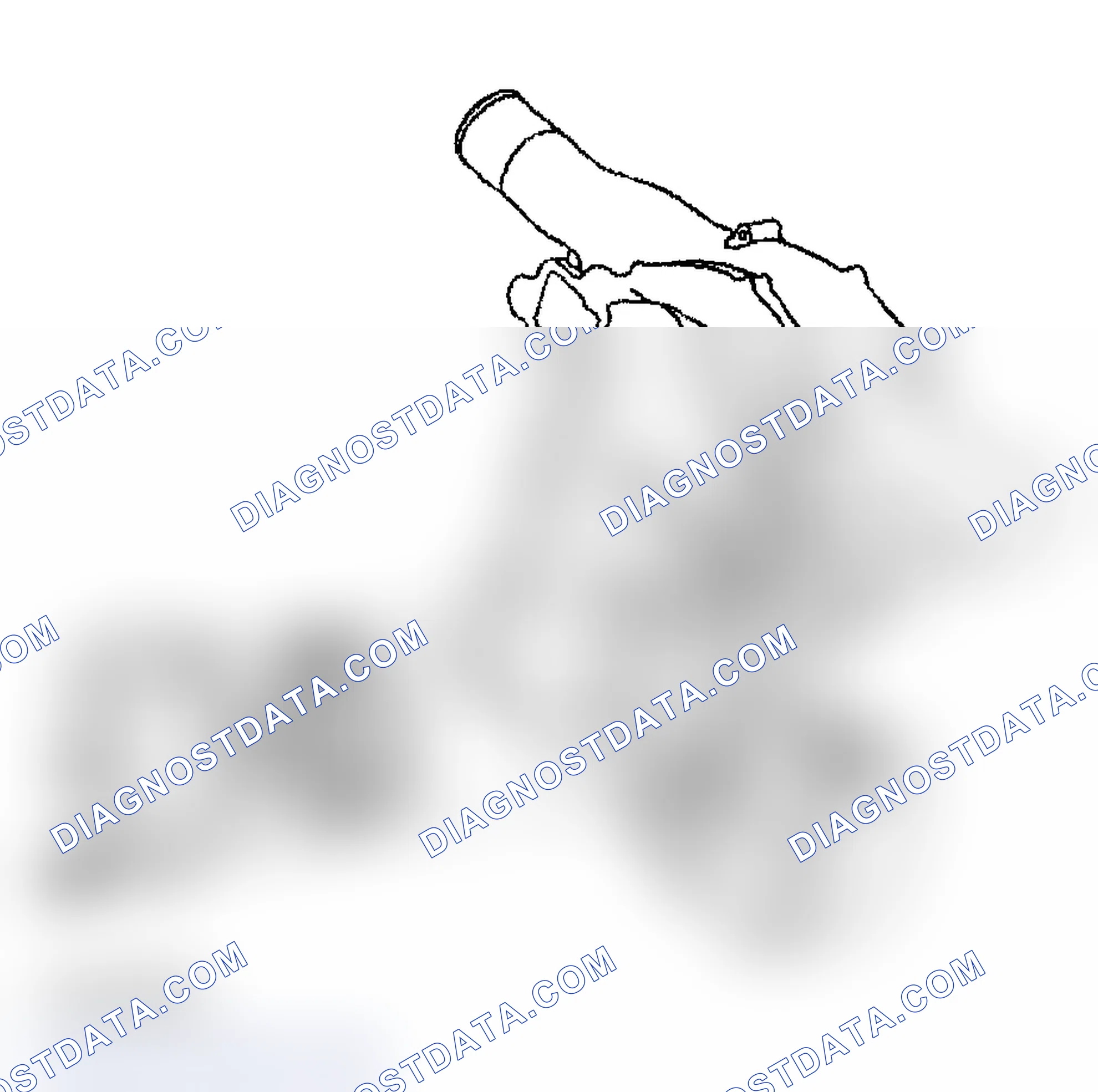 Scheme 593: Oil Pump - Assemble