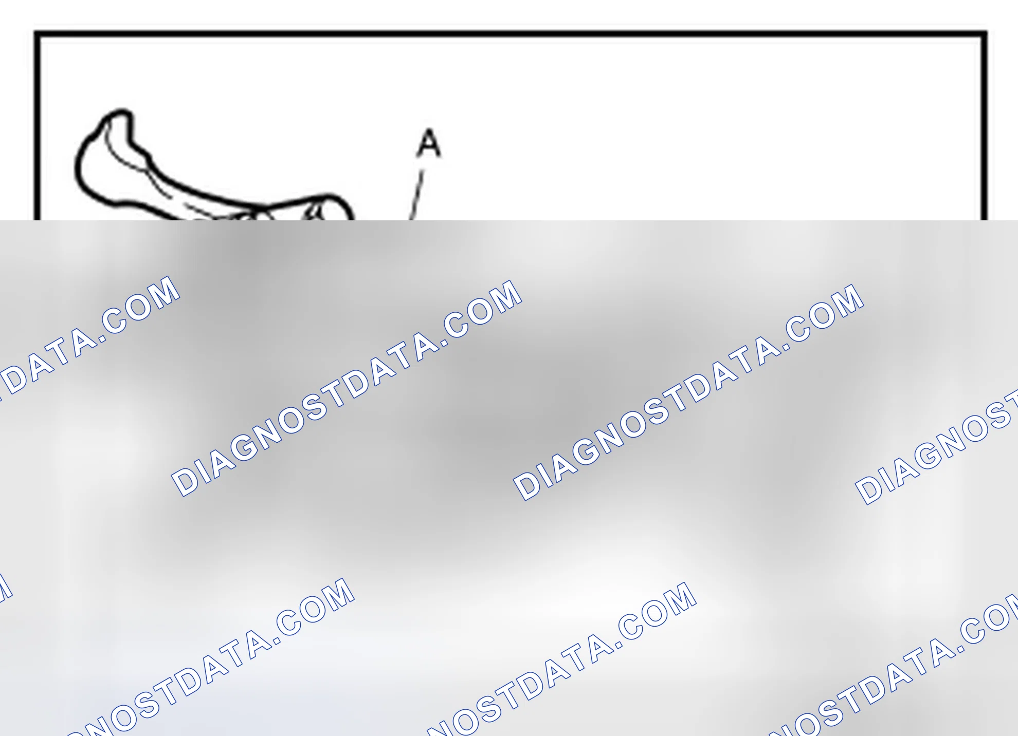 Scheme 82