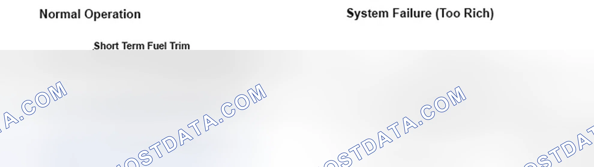 Scheme 237: DTC P0172: Fuel System Too Rich