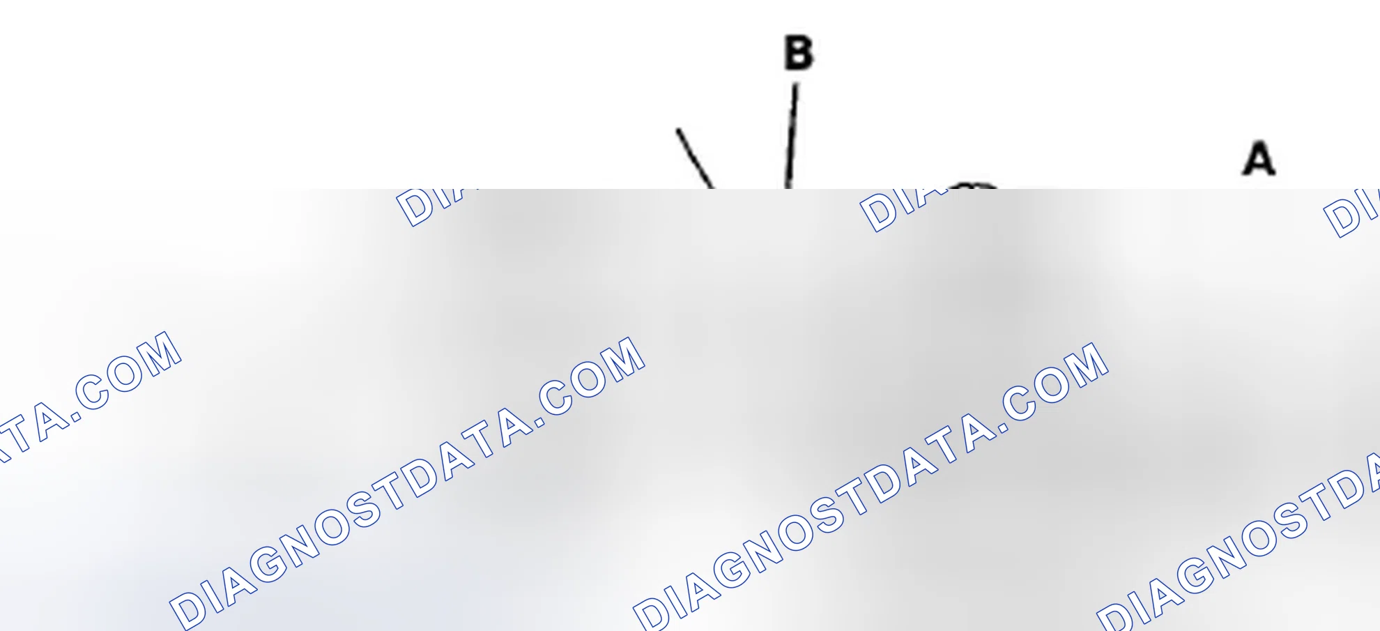 Scheme 40: Radiator Cap Test