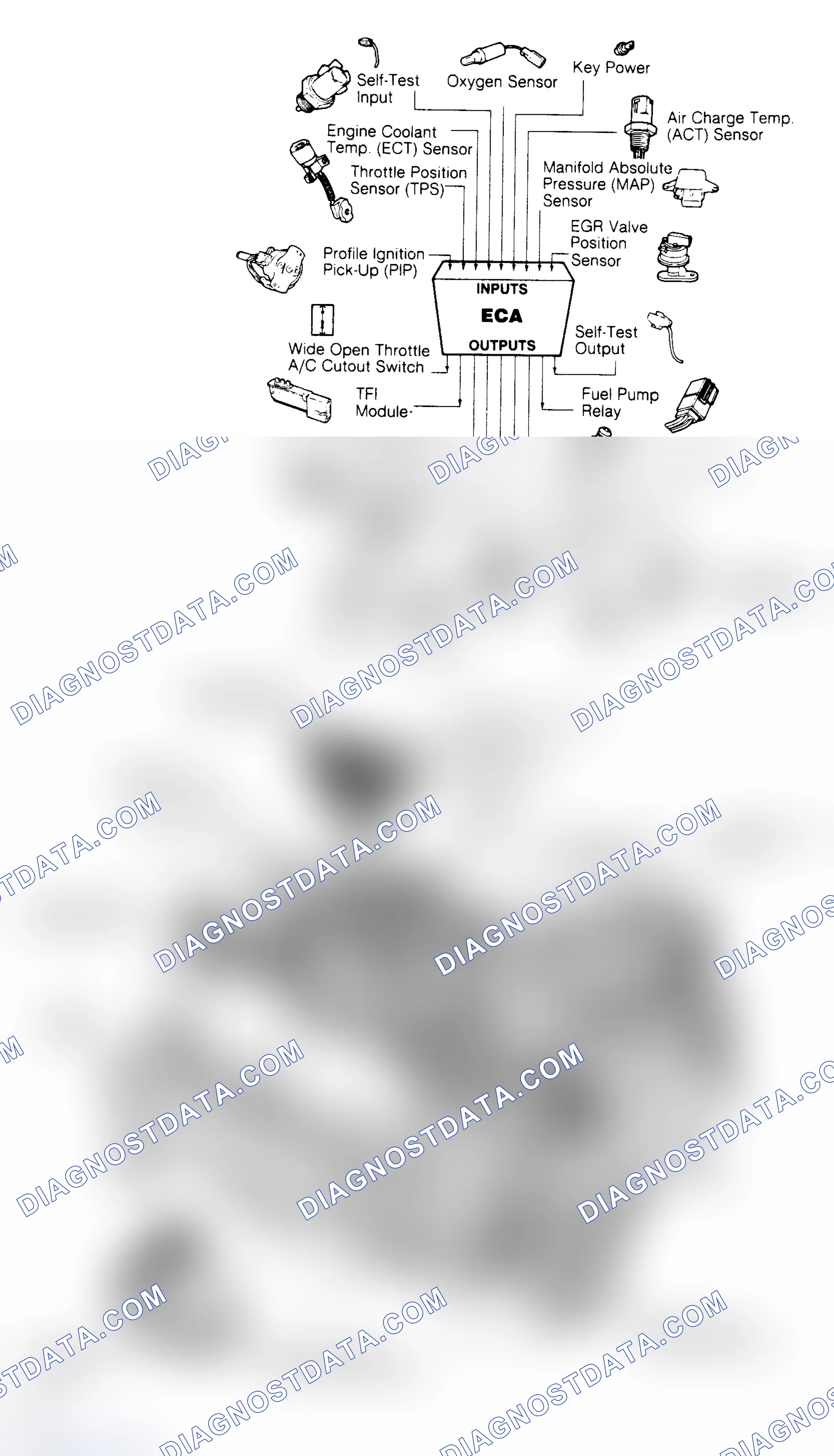 Scheme 139: 5.0L CFI EEC-IV Inputs/Outputs & Component Locations