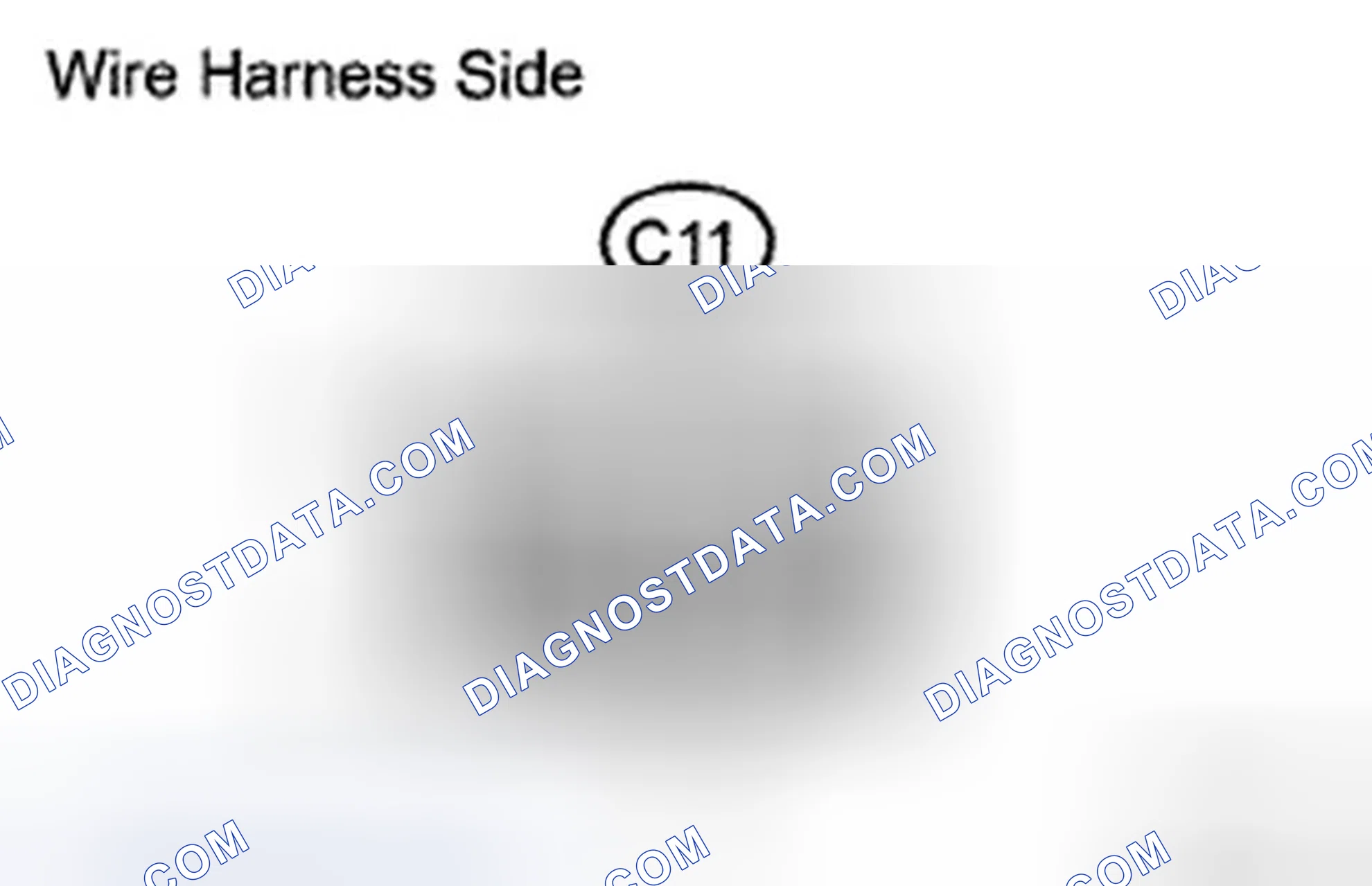 Scheme 24: INSPECTION PROCEDURE