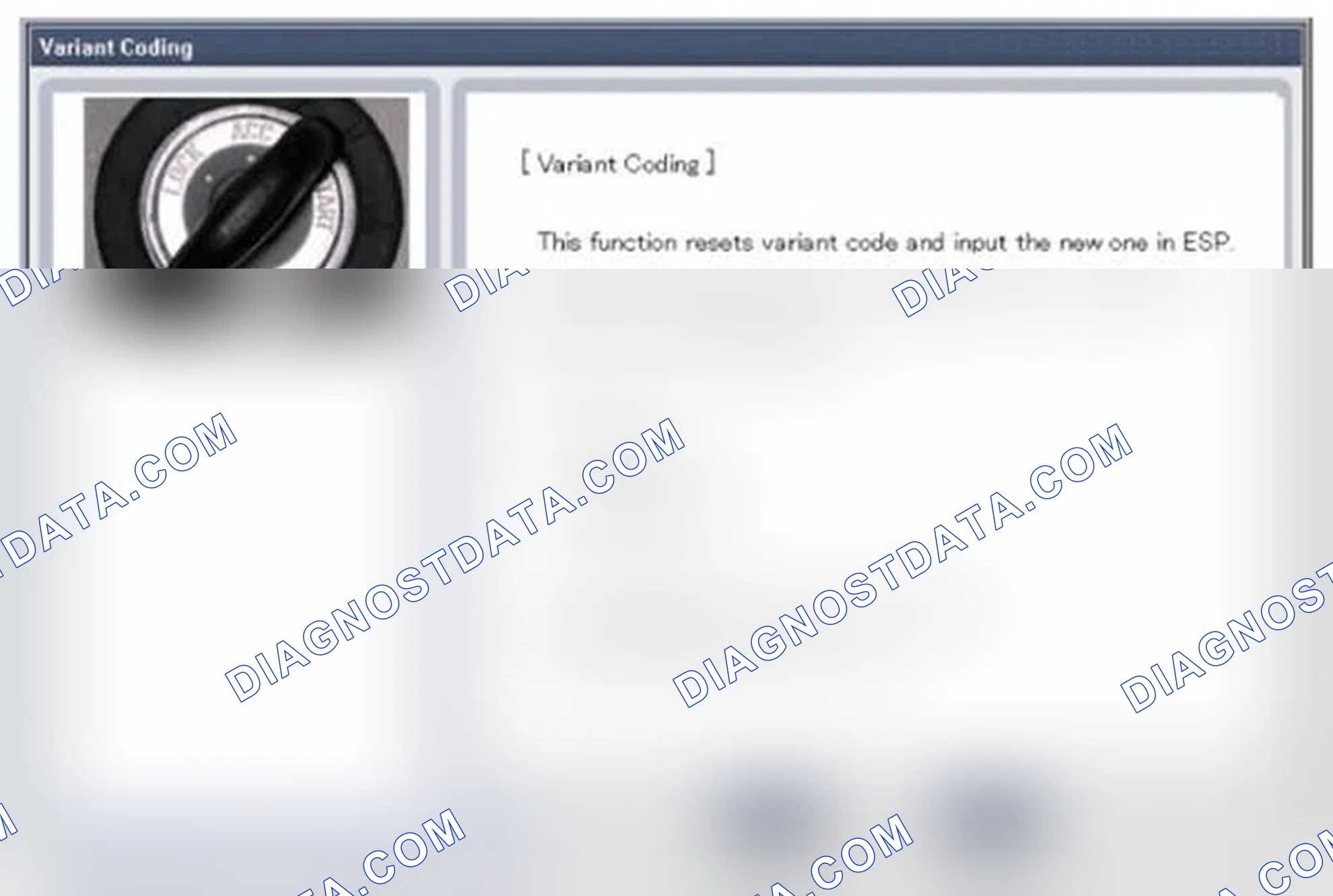 Scheme 184: Procedure of Variant Coding