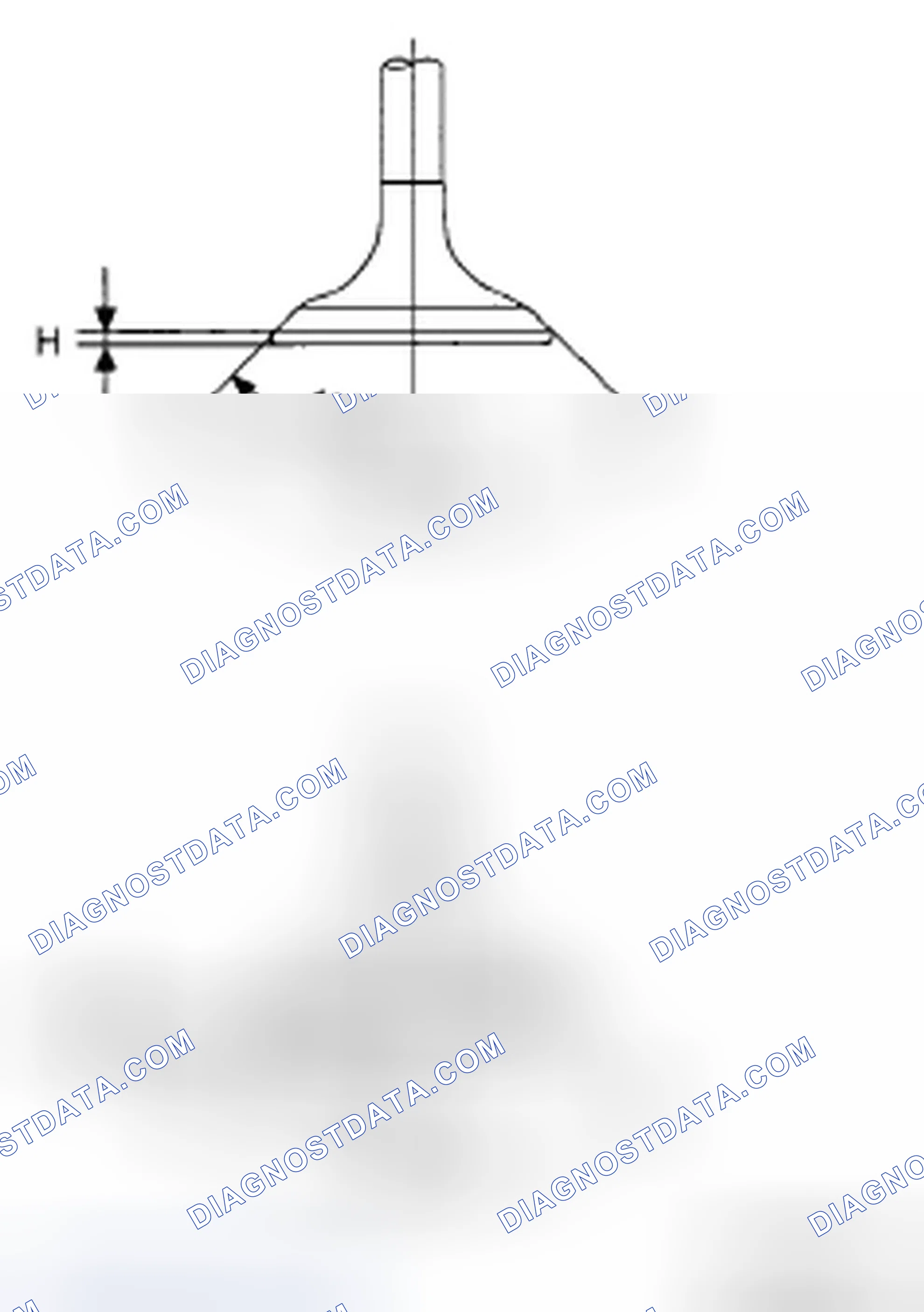 Scheme 207: INTAKE AND EXHAUST VALVE